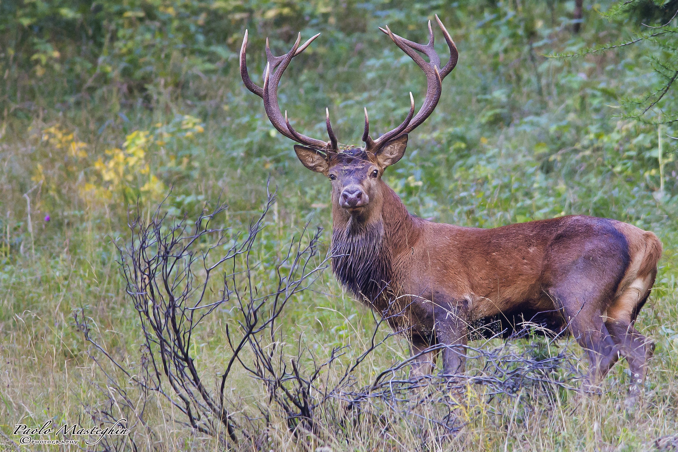Un 14 punte all'alba....