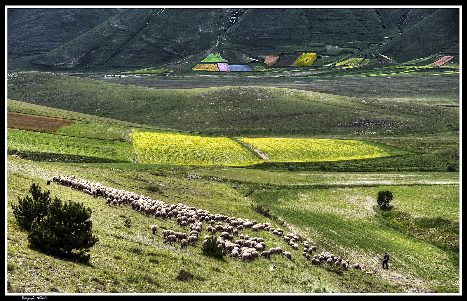 Castelluccio