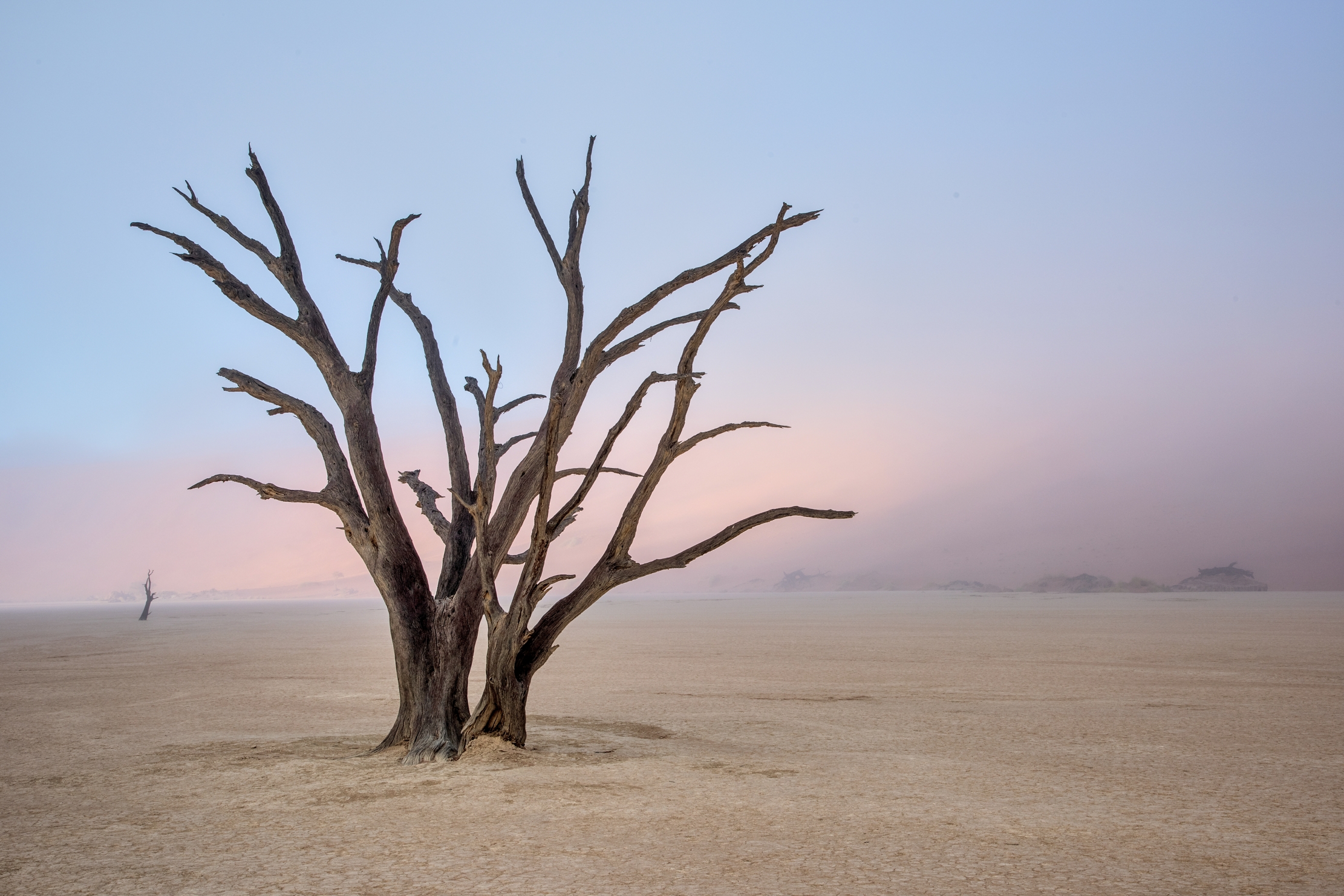 Deserto del Namib - Deadvlei