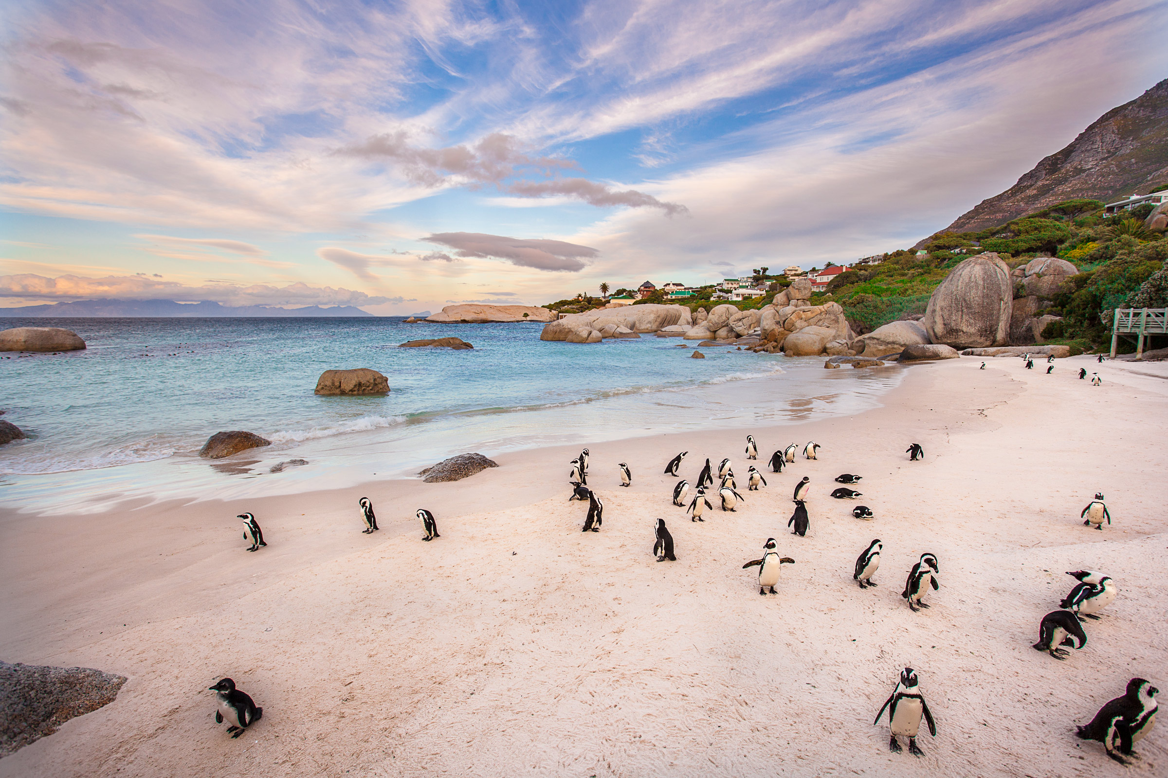 boulders beach