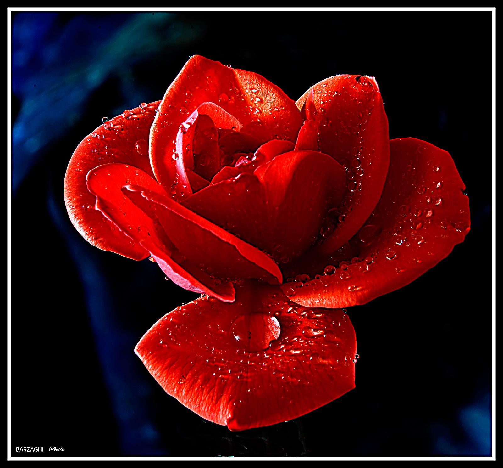 una felice Domenica -ciao