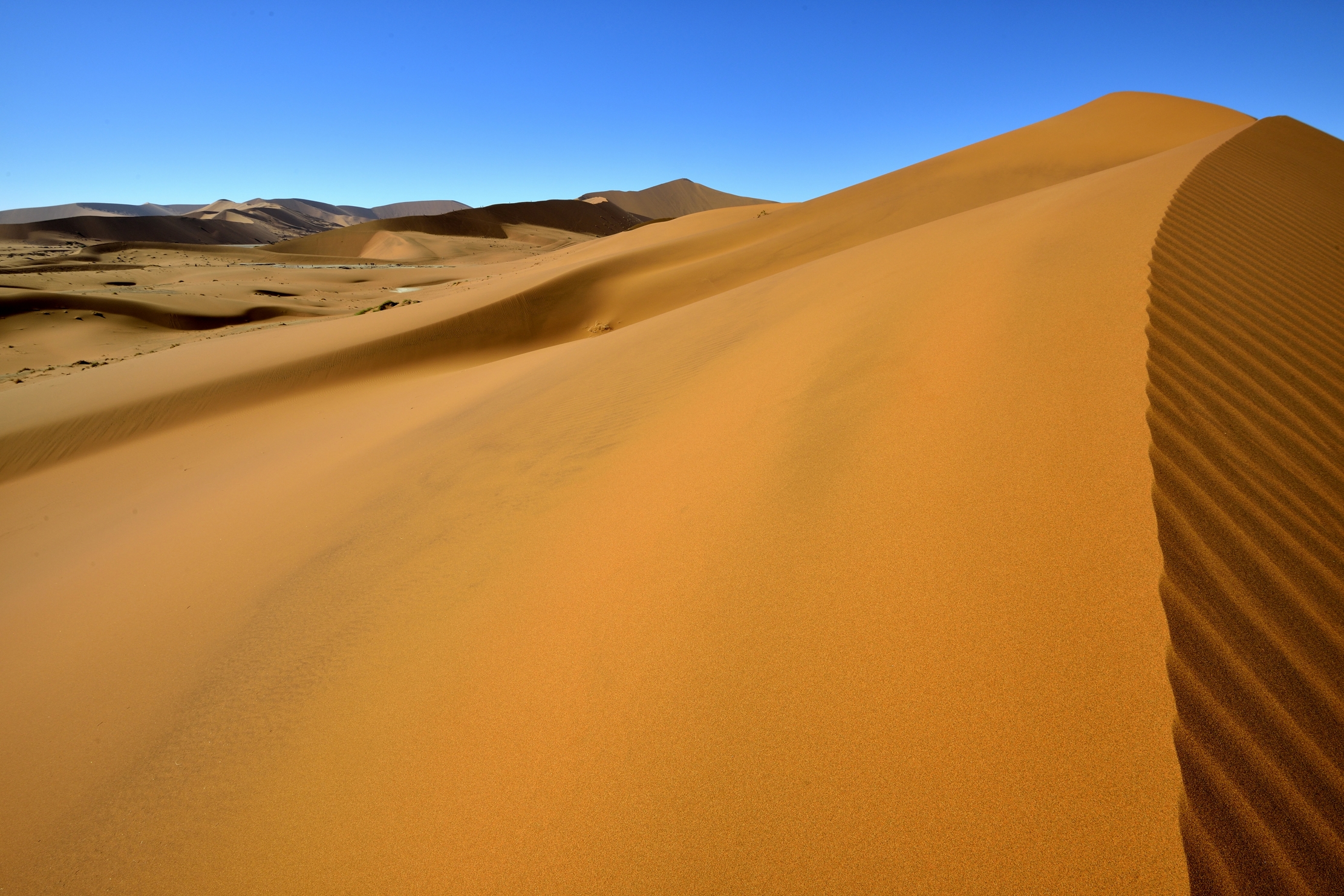 Deserto del Namib