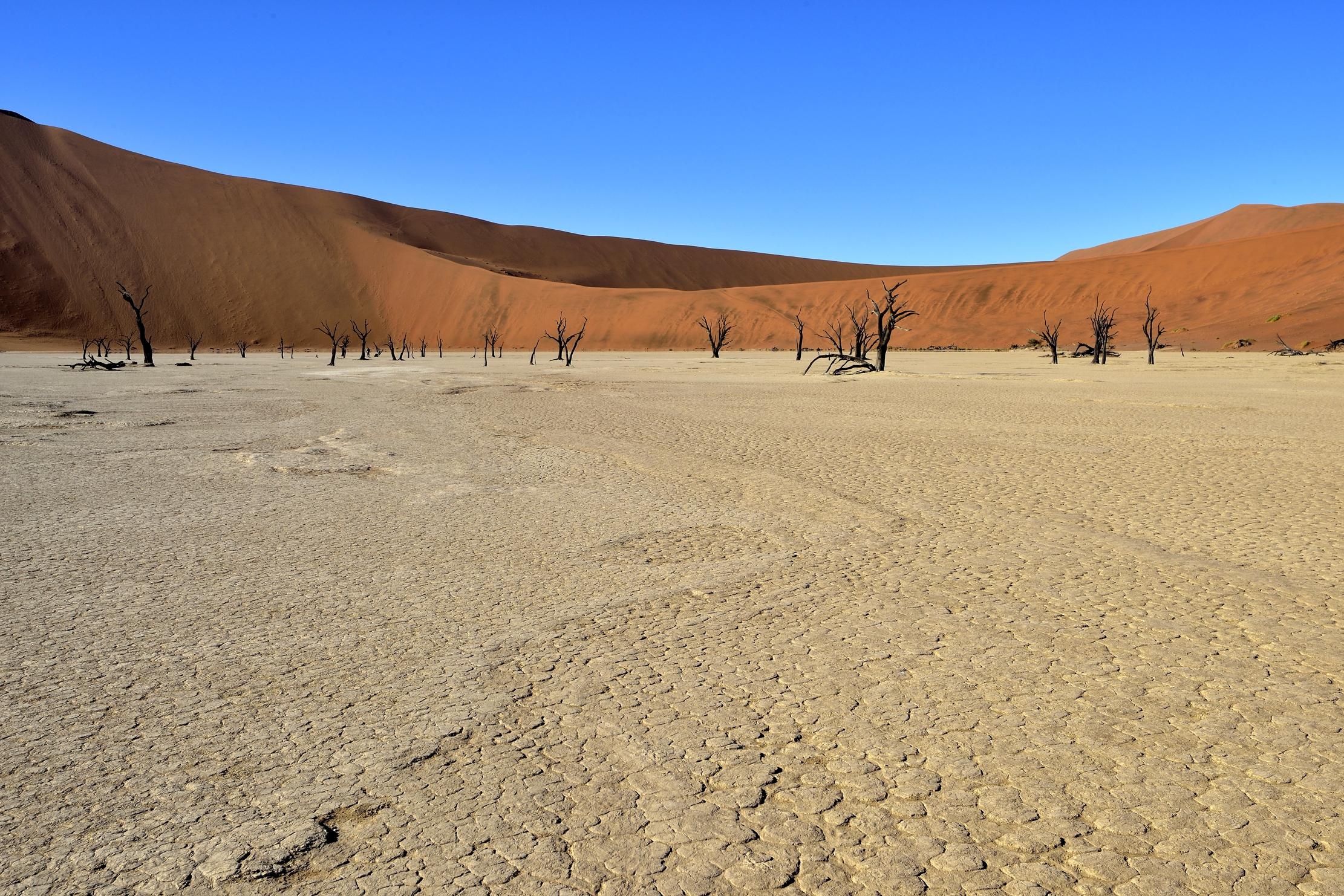 Deserto del Namib - Deadvlei