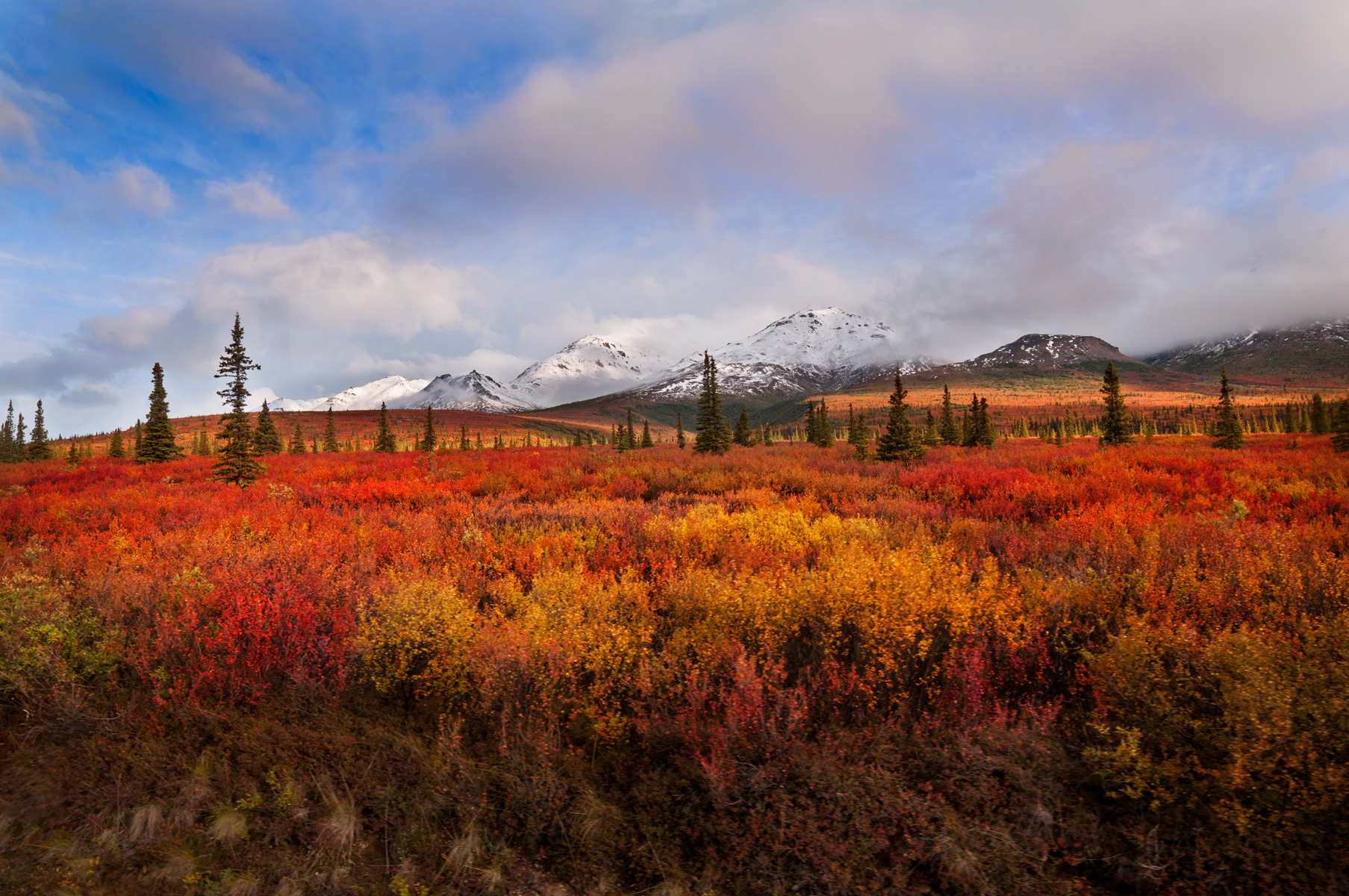 Autumn in Denali National Park