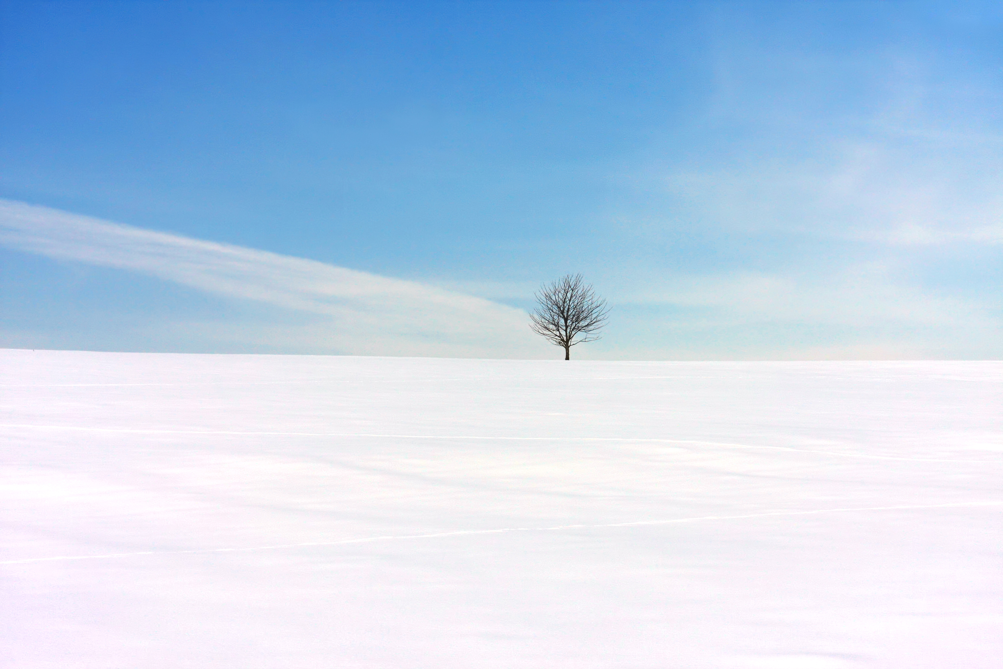 Solitudine Invernale