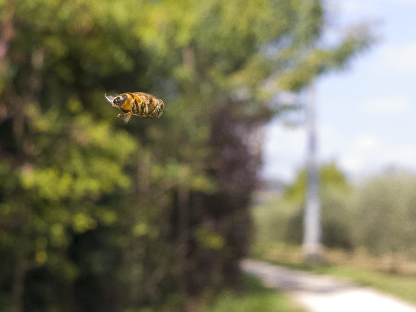 decollo ma non mollo