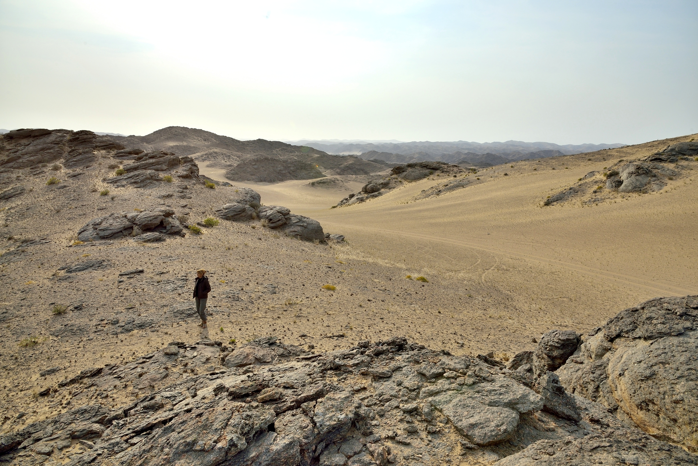 Deserto del Kaokoland