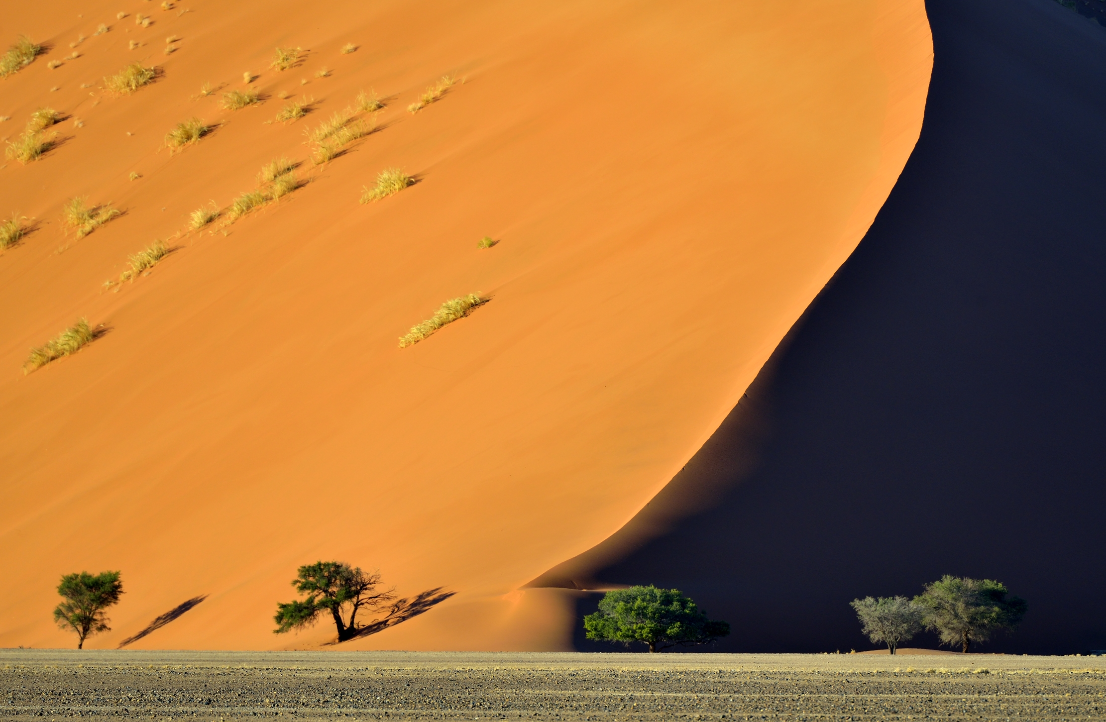 Deserto del Namib