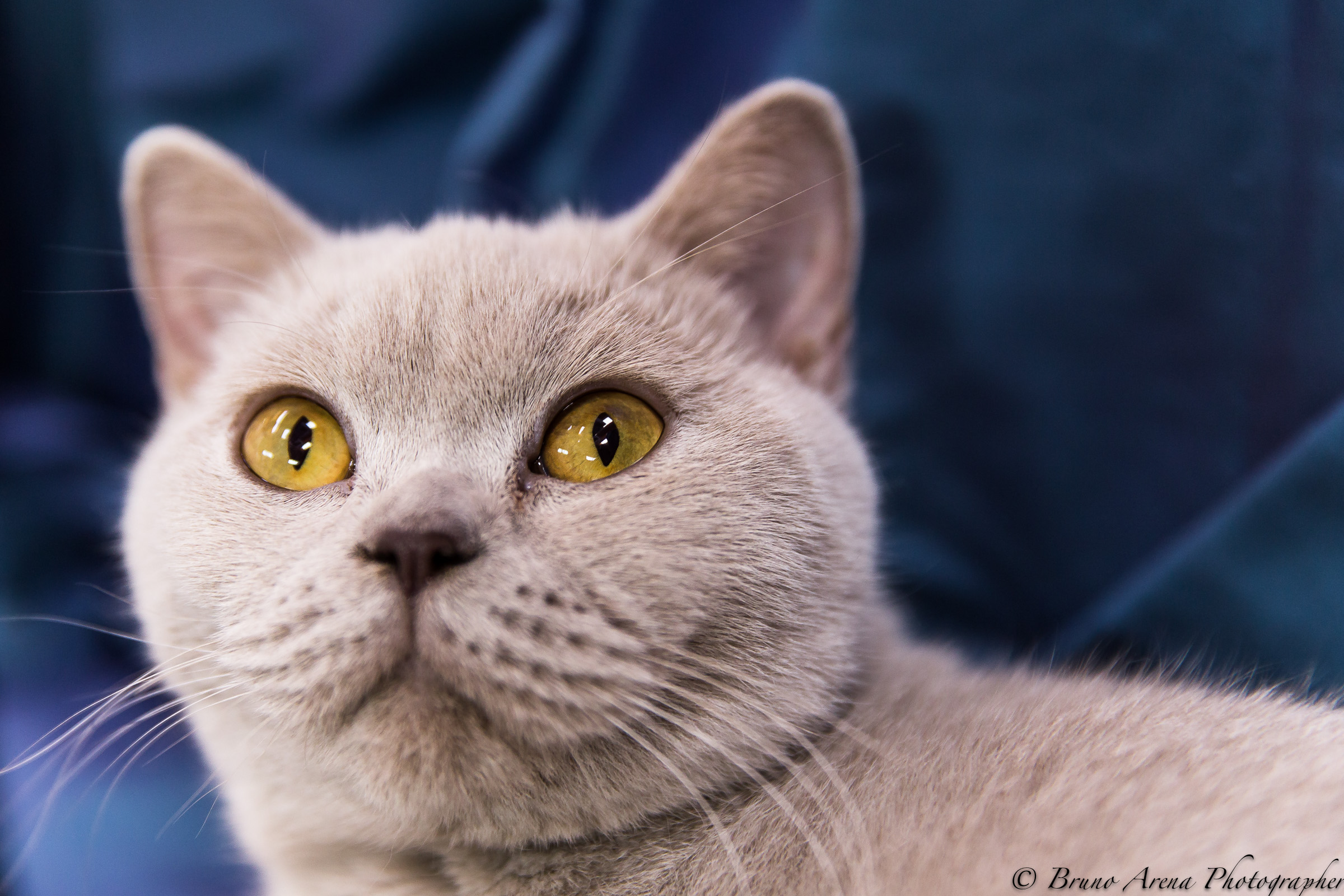 ... Where are they ...?