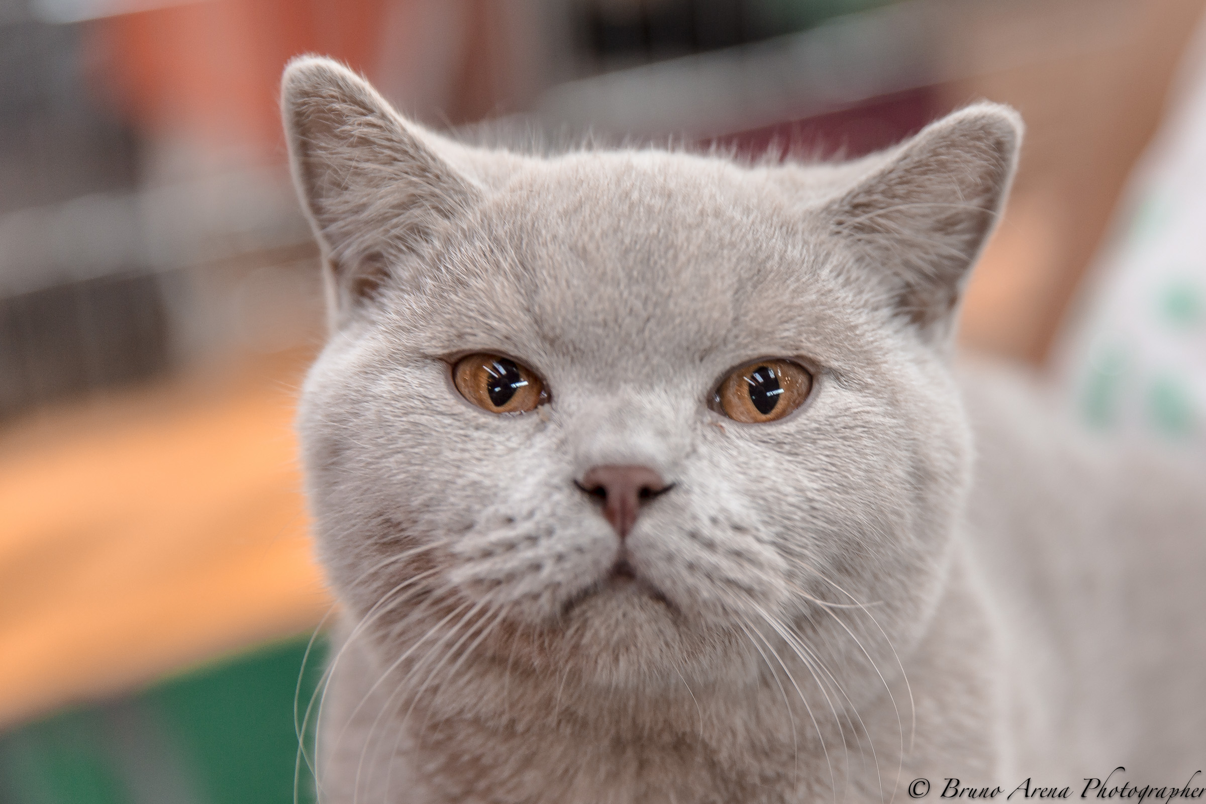 I'm here too ... ...