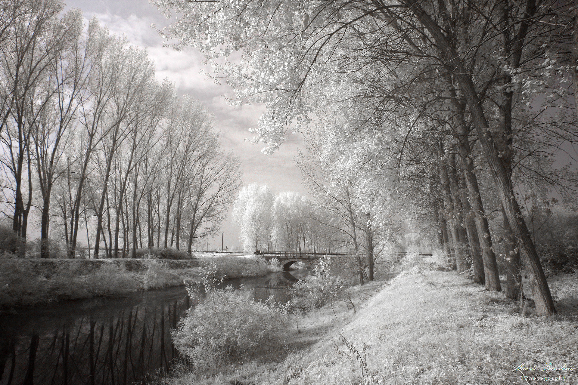 Schivenoglia, Reclamation