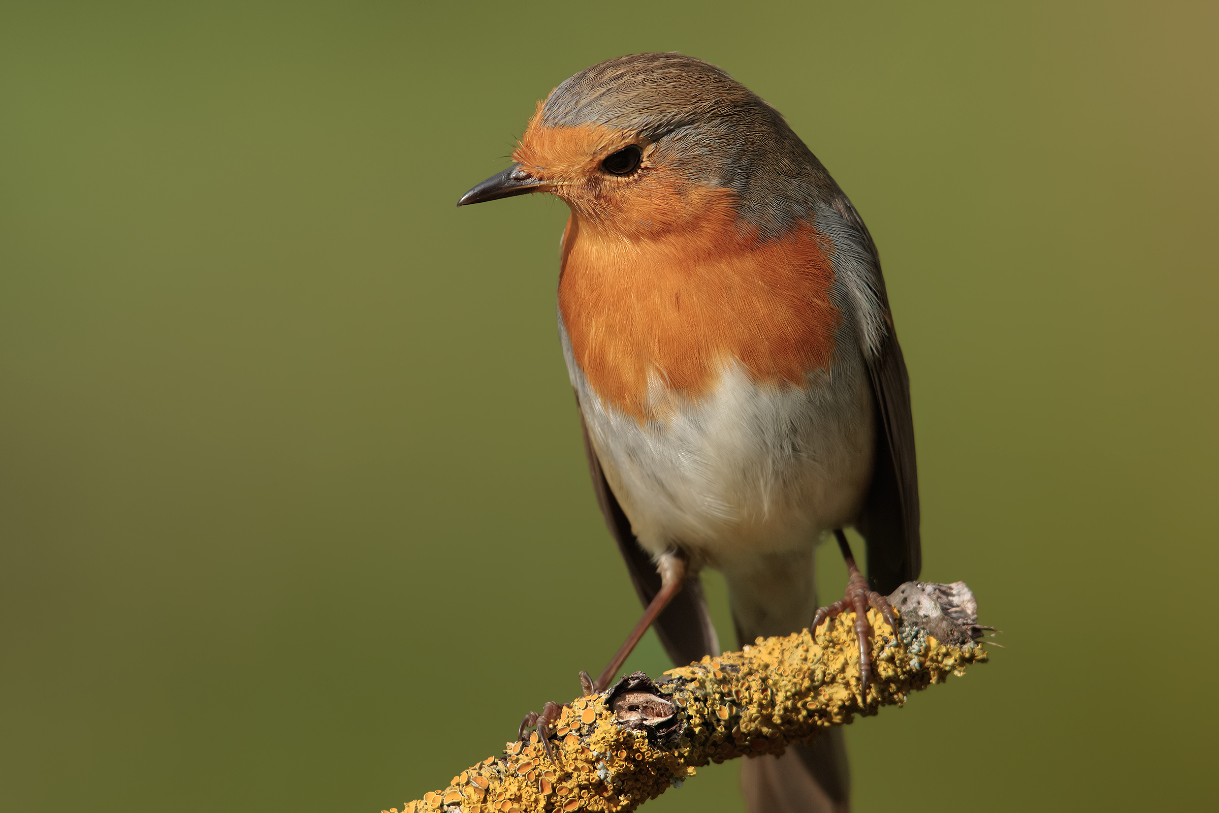 ..I exaggerated .. !!