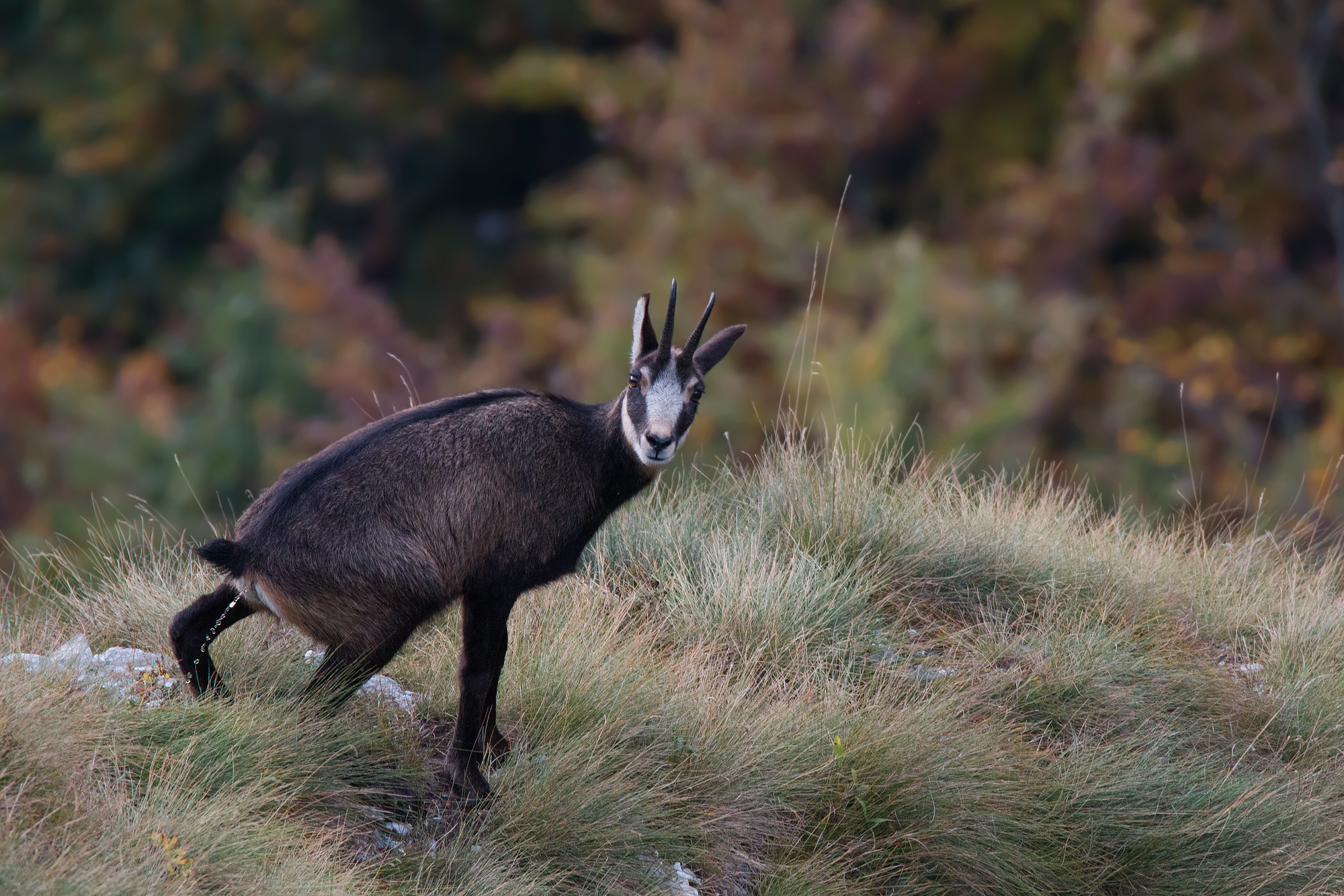 What is there to watch?