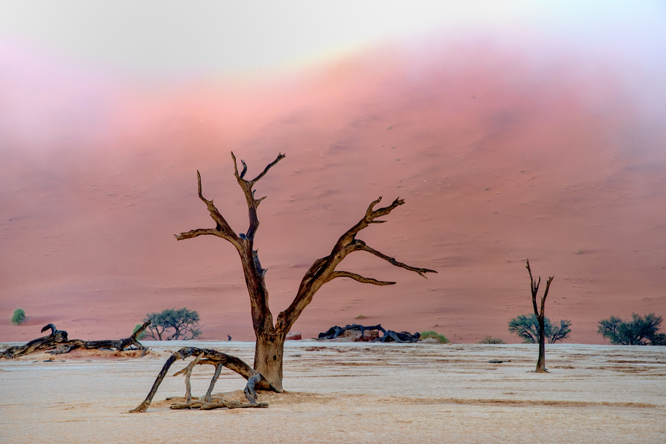 Deserto del Namib - Deadvlei