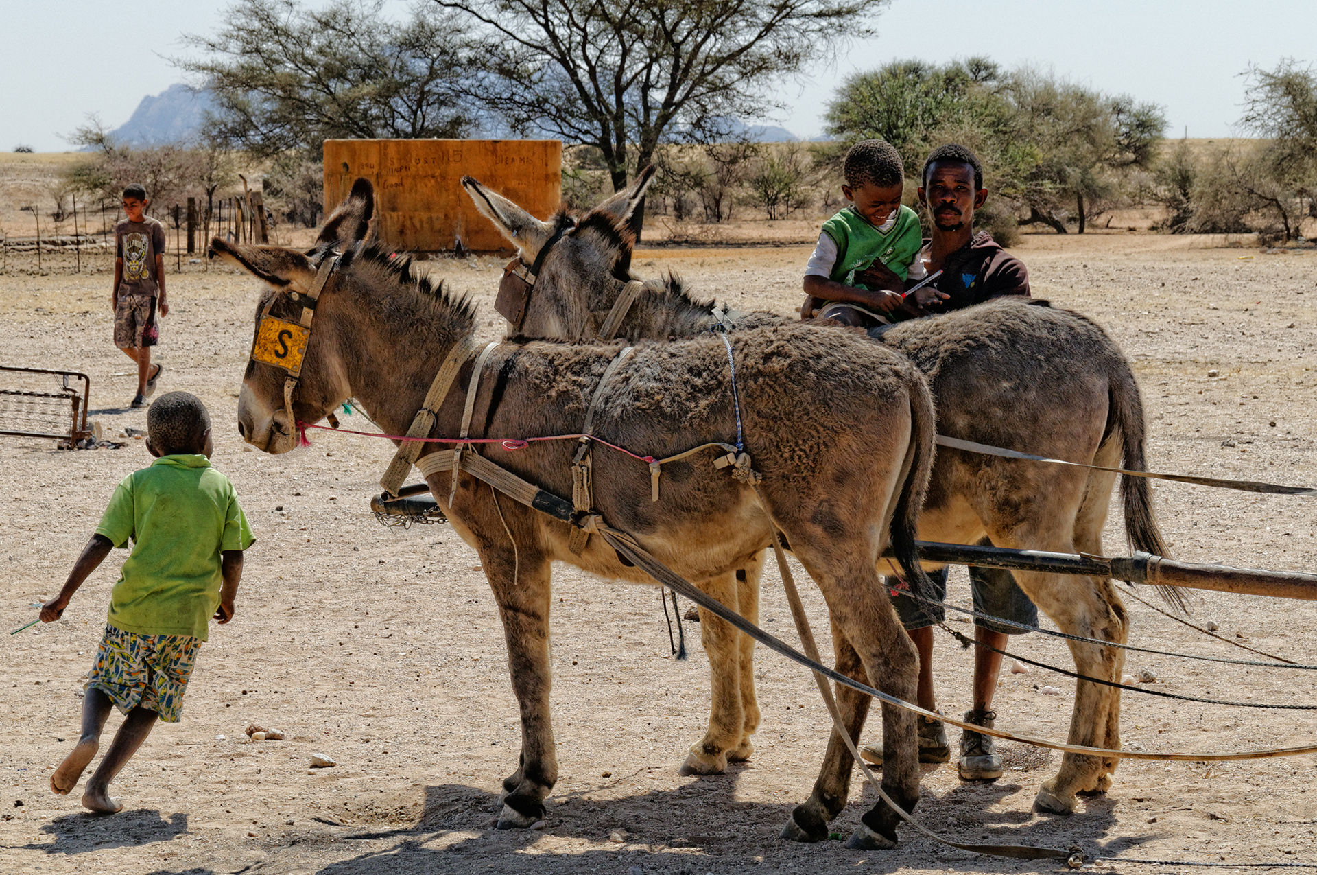 Lungo le strade dei monti Erongo