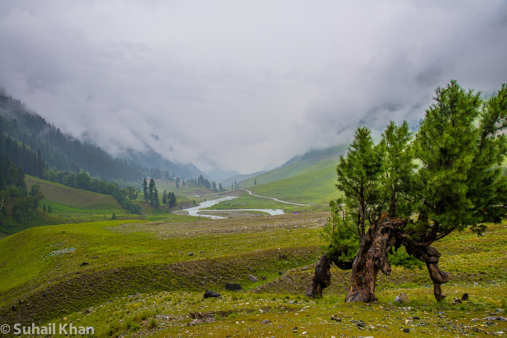 Baltal, Kashmir, India.
