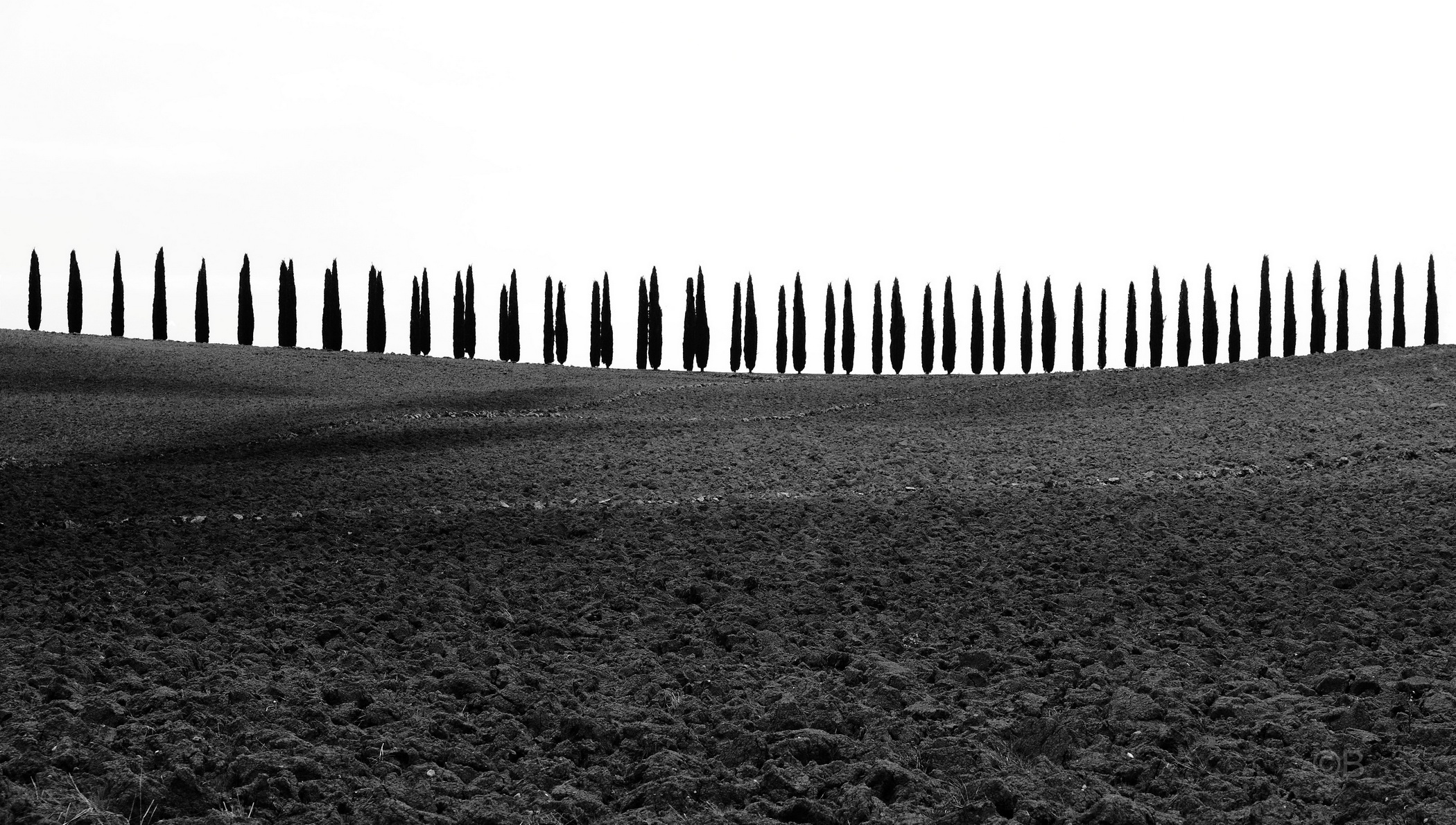 The Val d'Orcia in B & W