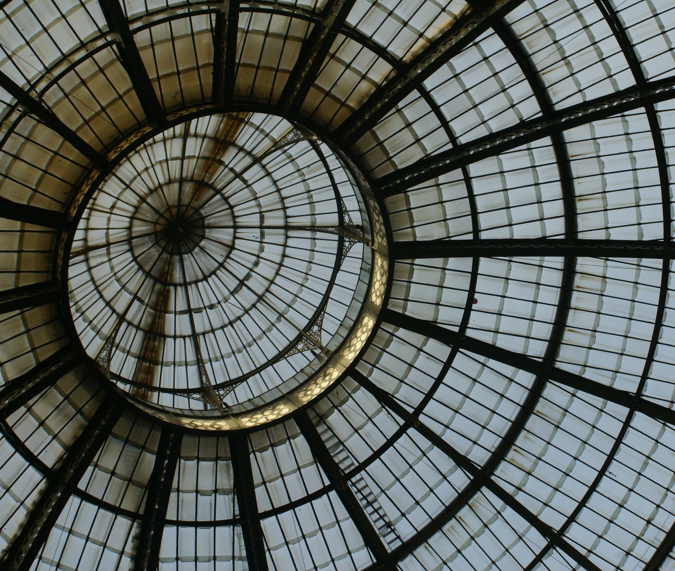 L'occhio del camaleonte ...