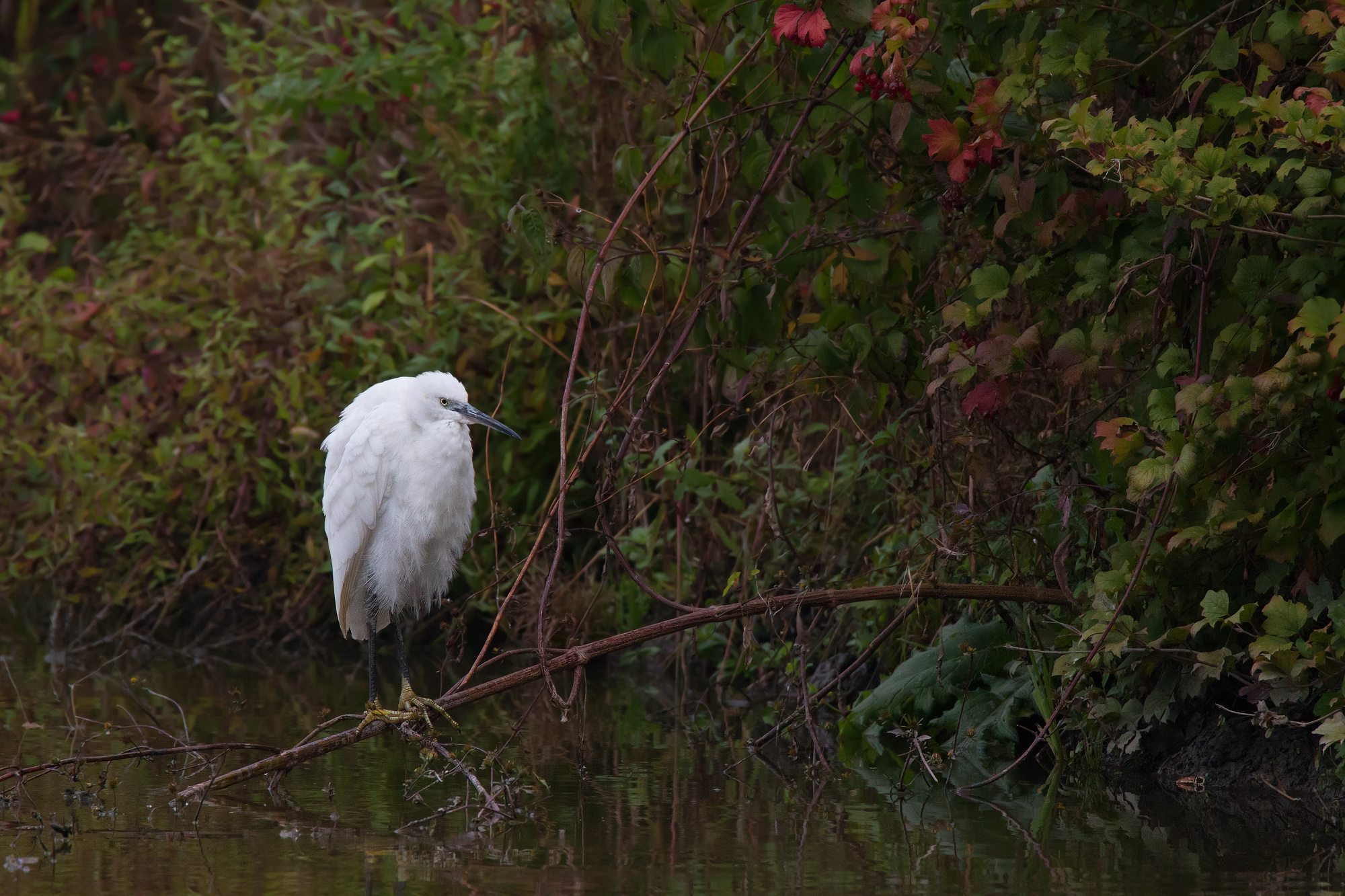 Ugh, I have put in the corner!