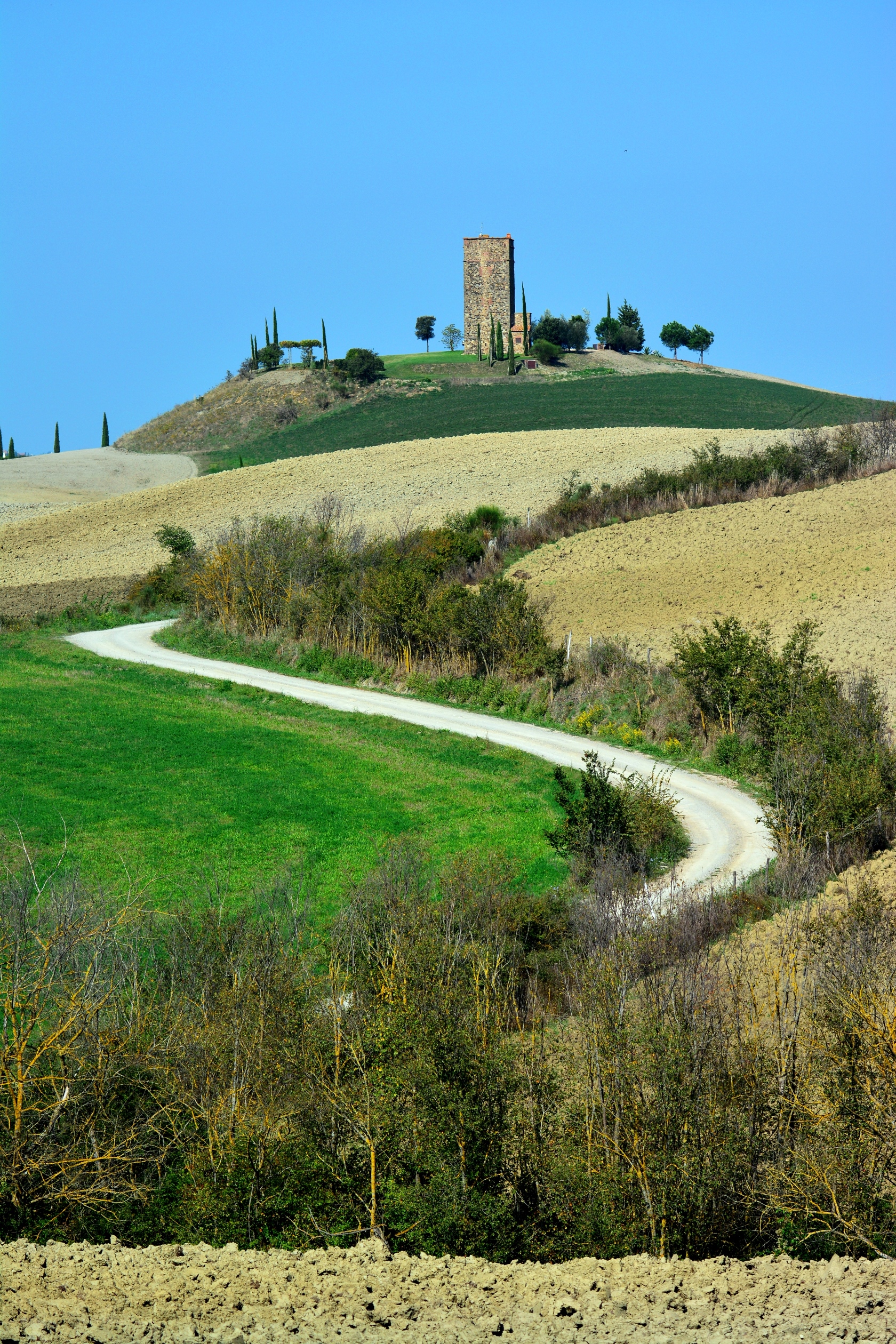 Torre Tarugi (Val d'Orcia)