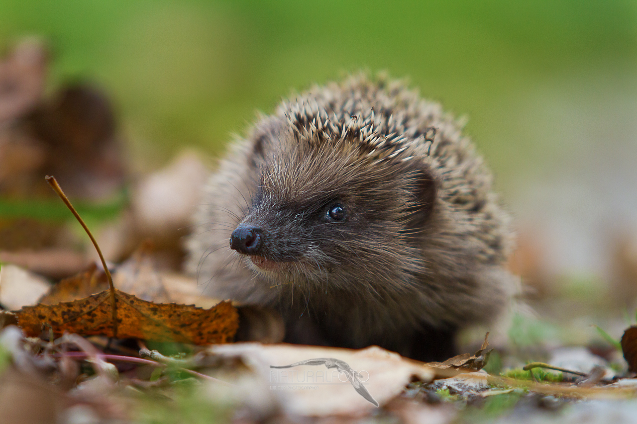 Every so often, something "simple"