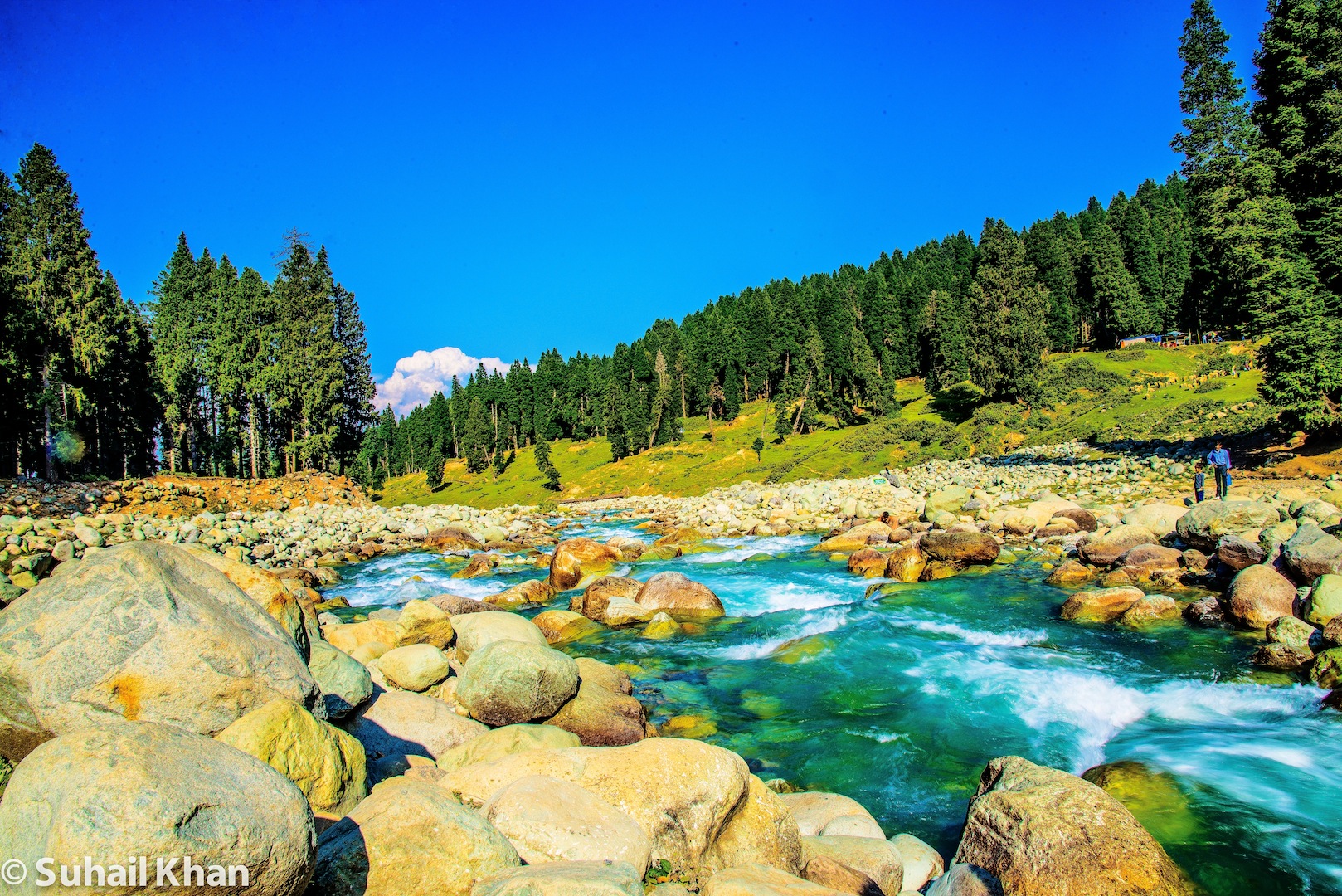 Dodh Pathrai, Kashmir, India.