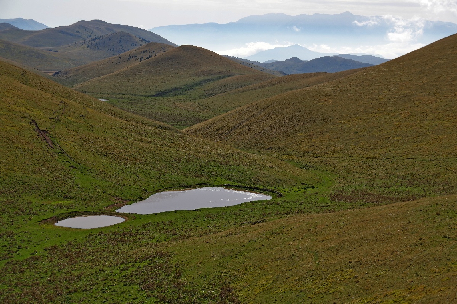 the twin lakes - Field Emperor