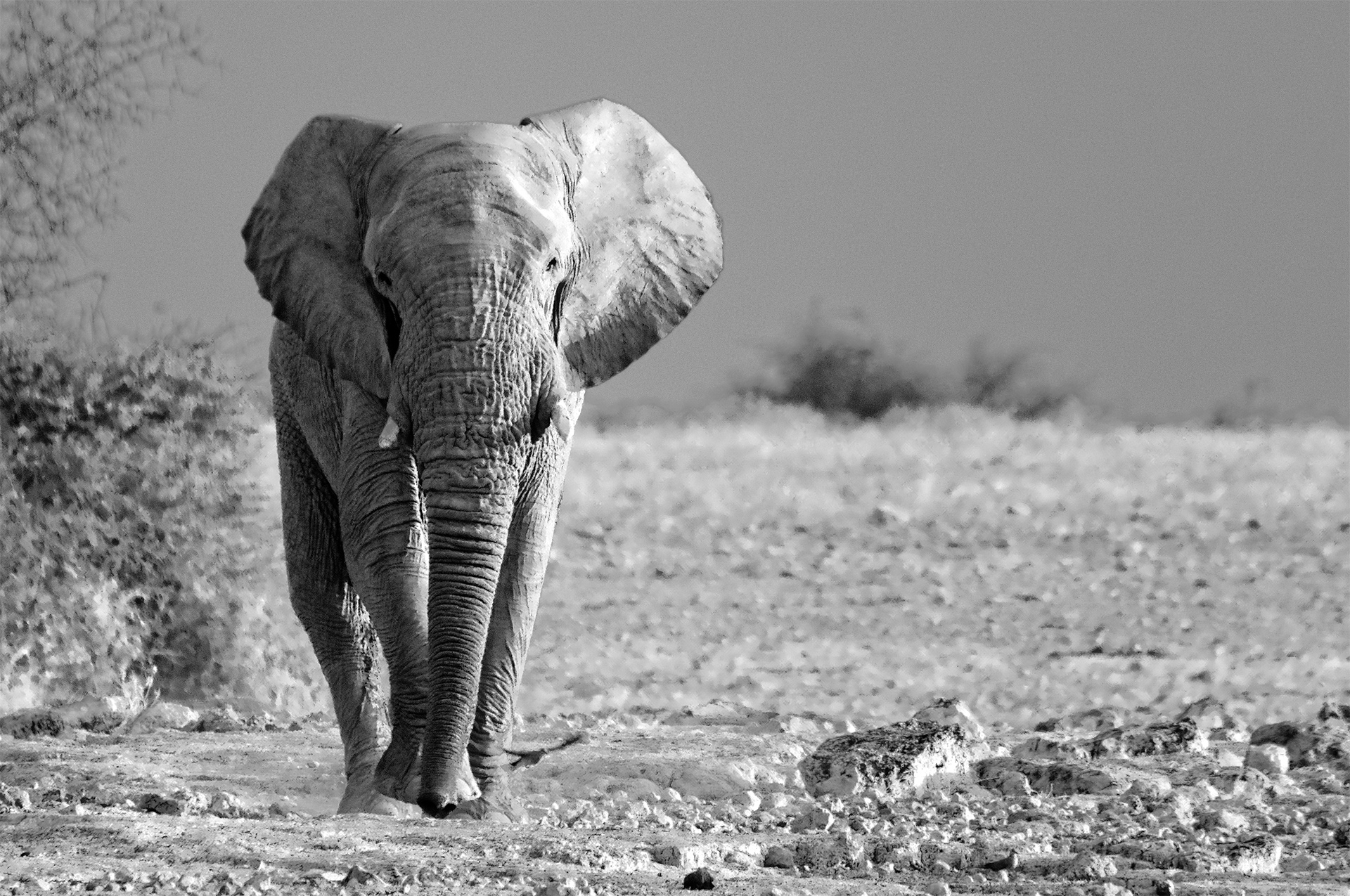 Avvicinamento silenzioso