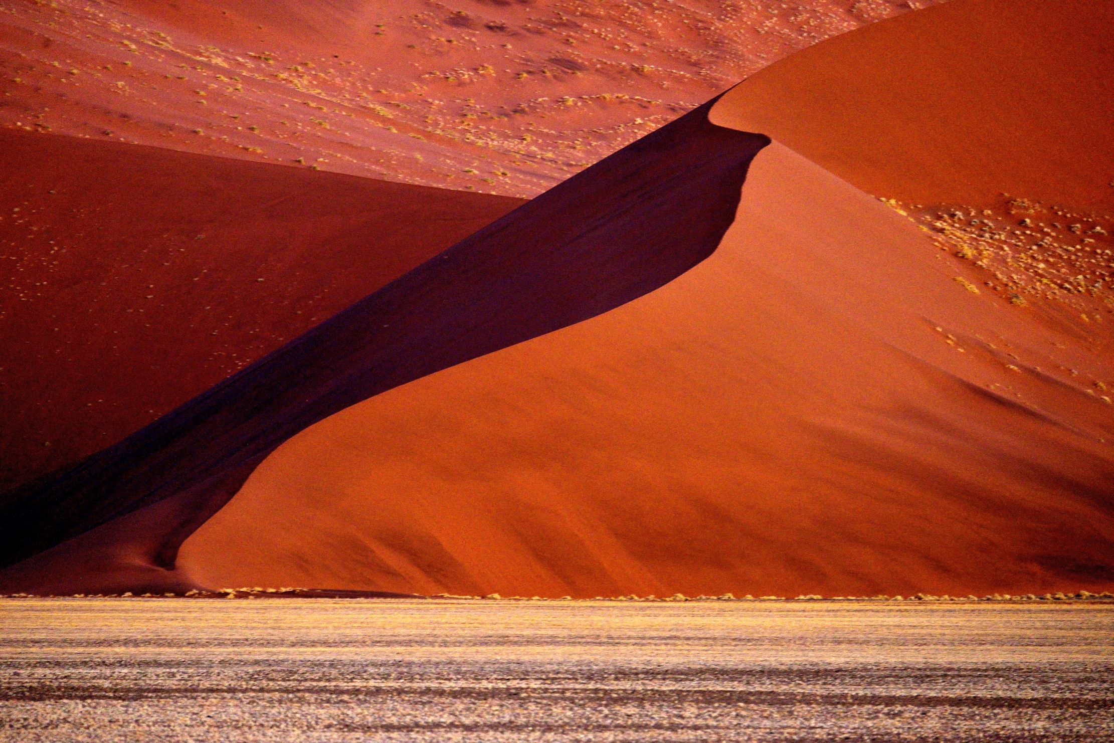 Deserto del Namib - Alle ultimissime luci
