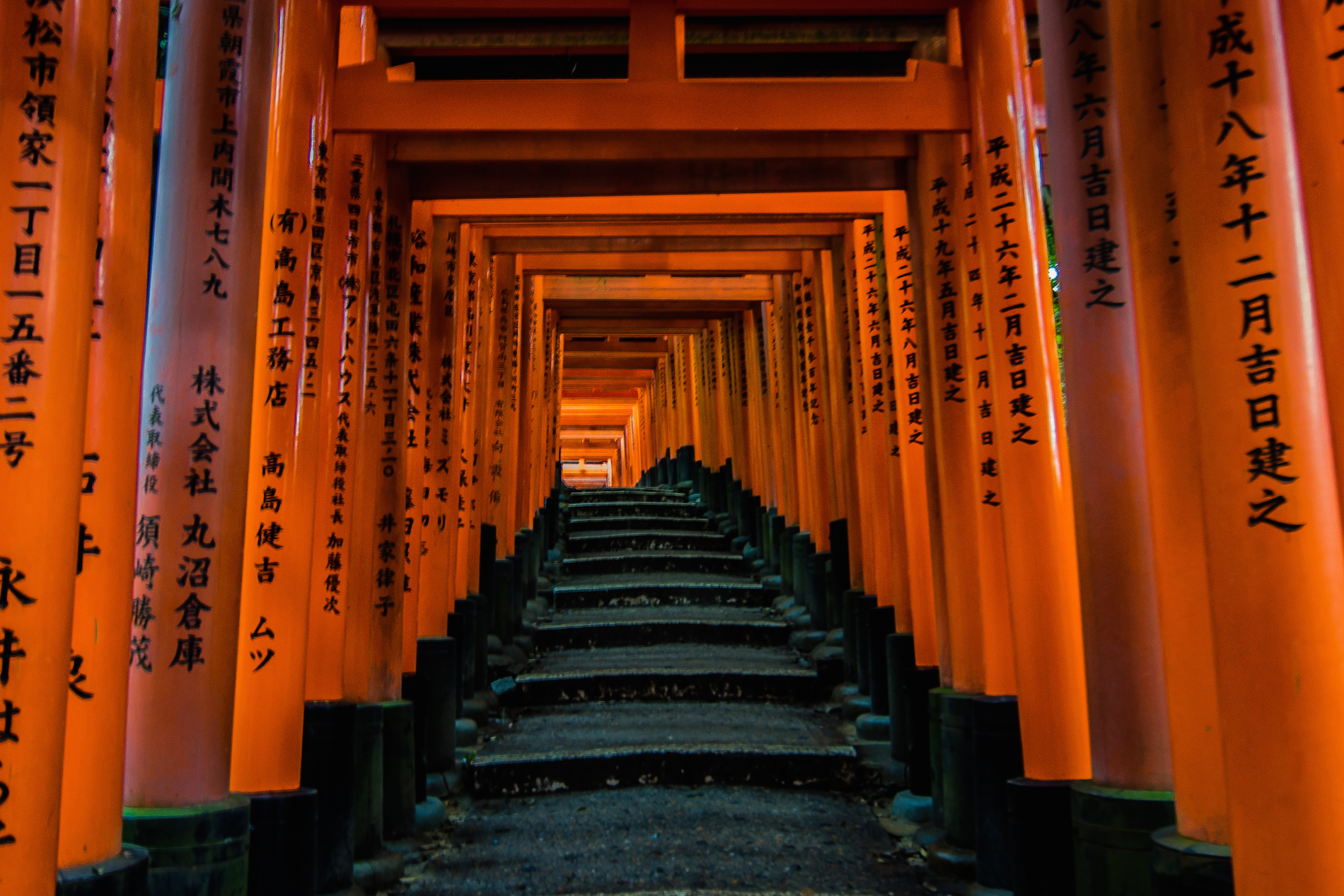 The thousand torii of Fushimi Inari