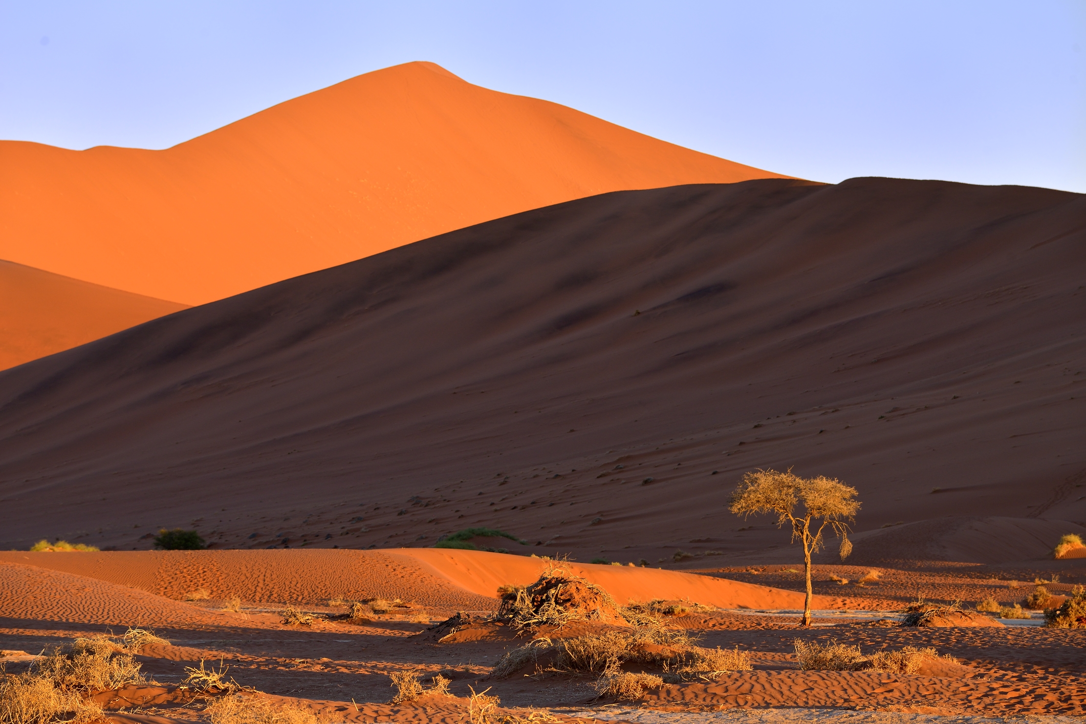 Deserto del Namib - Dune al tramonto