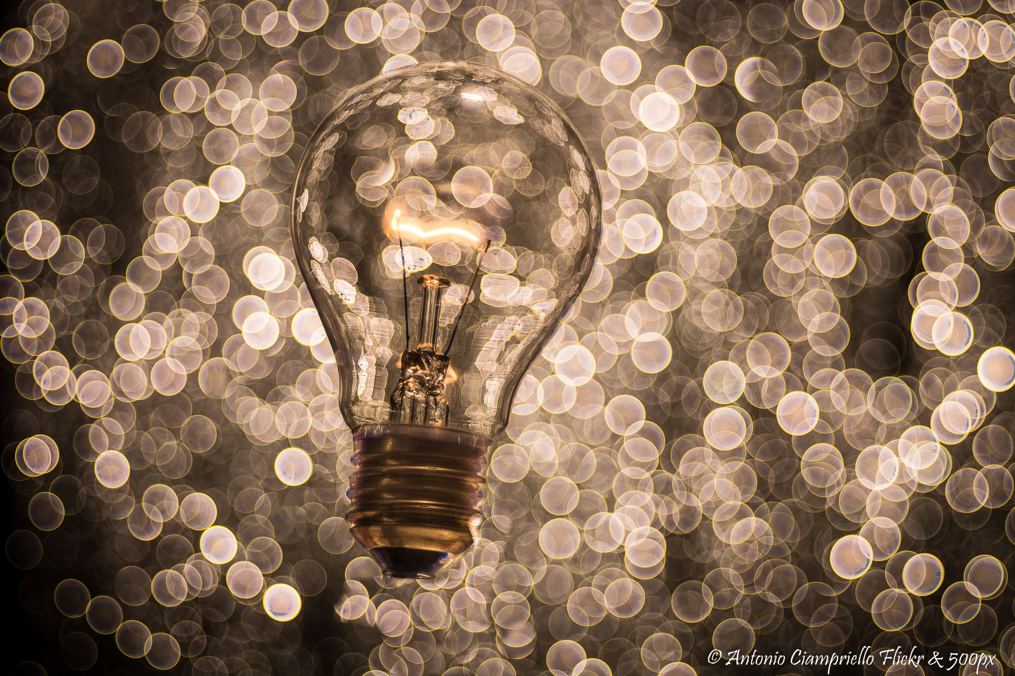 Edison in wonderland