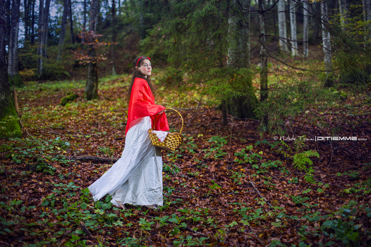 Camminando sola nel bosco