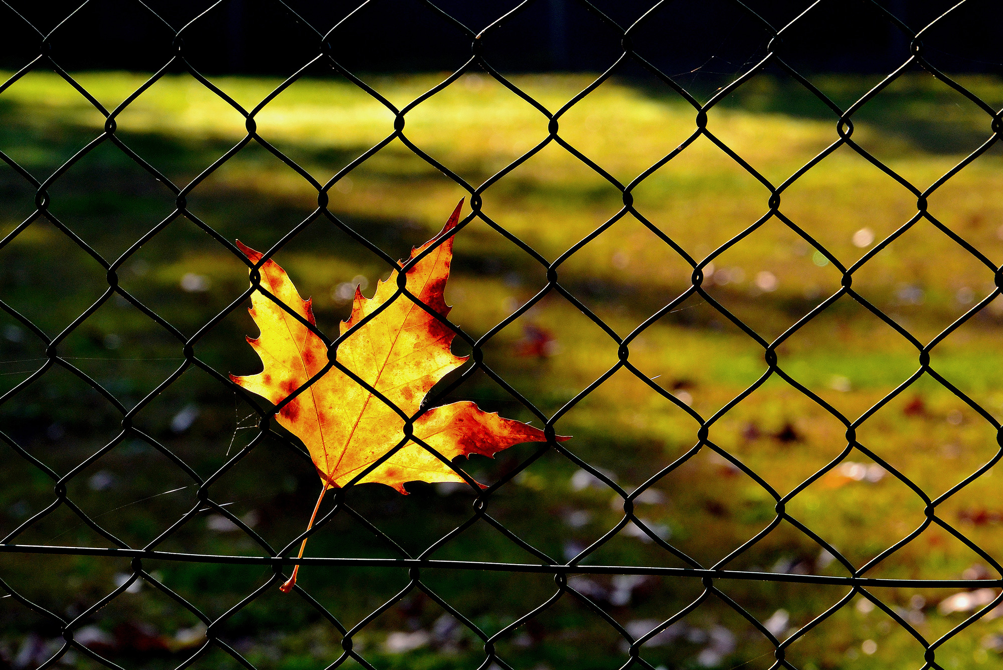 dedicated to meeting ... a light