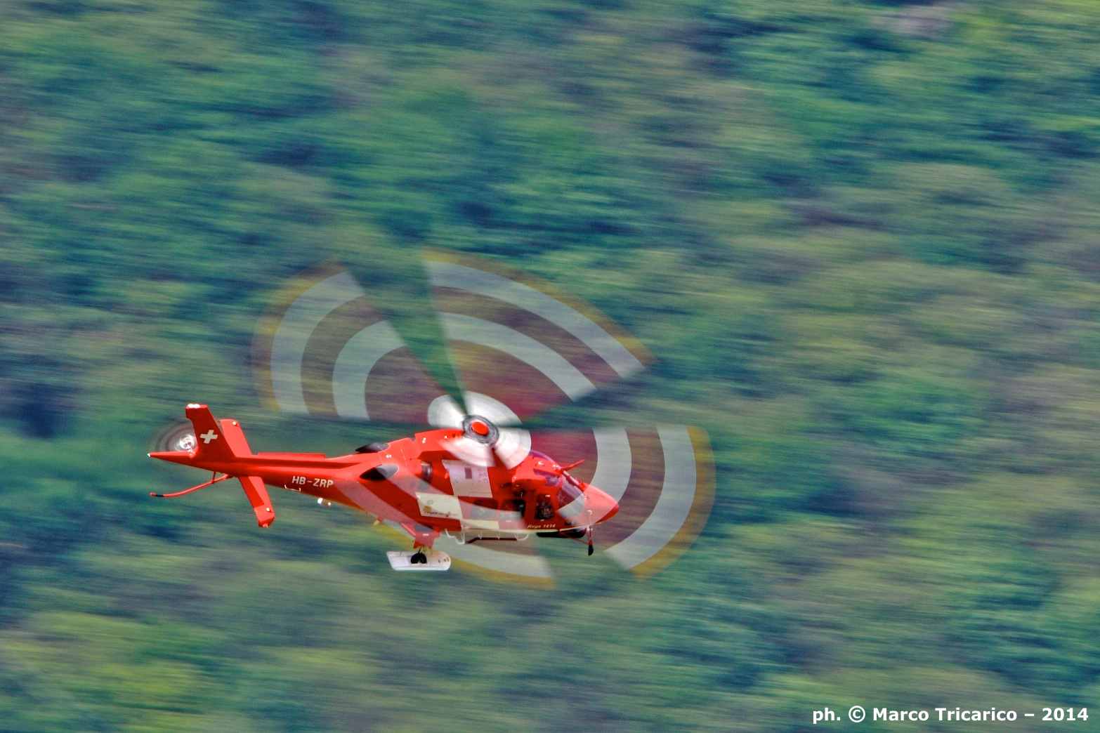 Red four-leaf clover