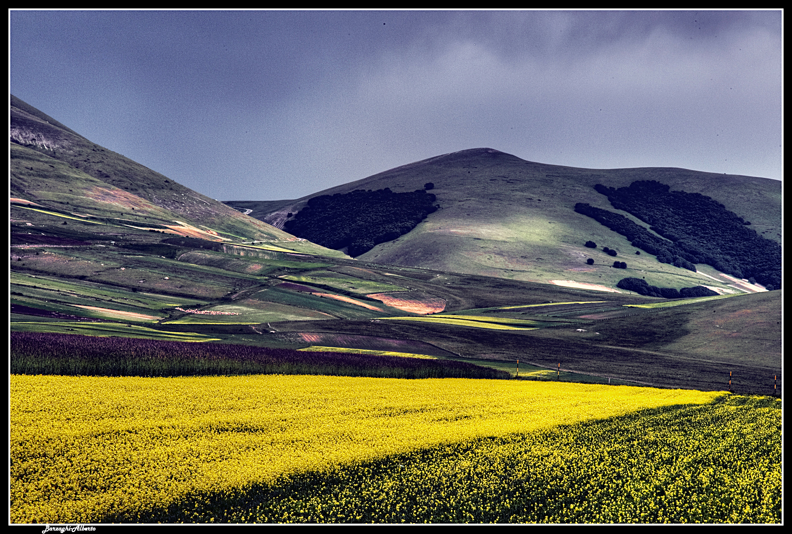 il giallo della piana di Castelluccio