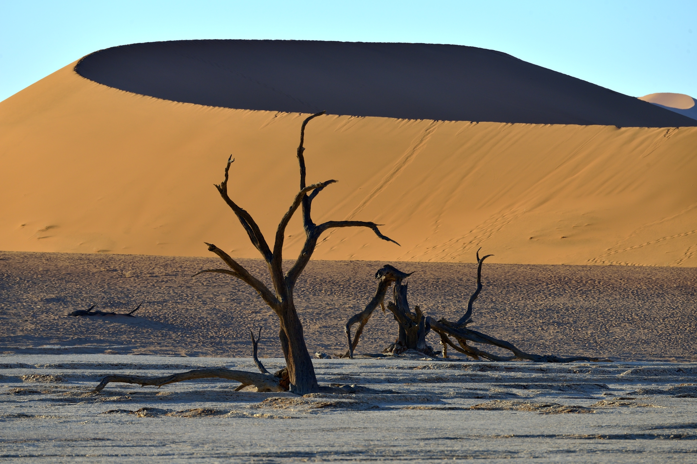 Deserto del Namib - Deadvlei