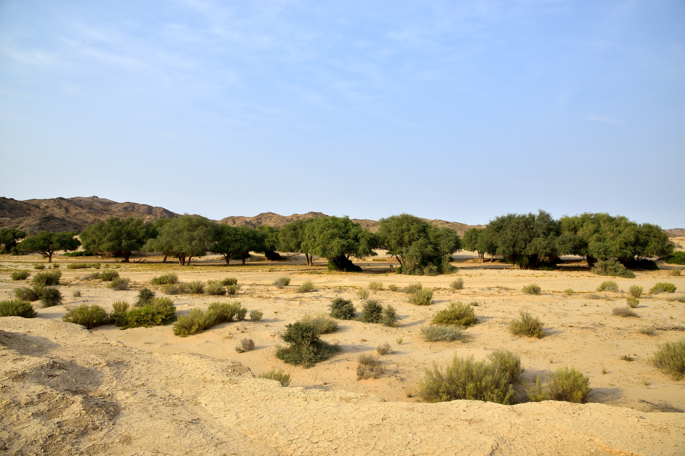 Deserto del Kaokoland
