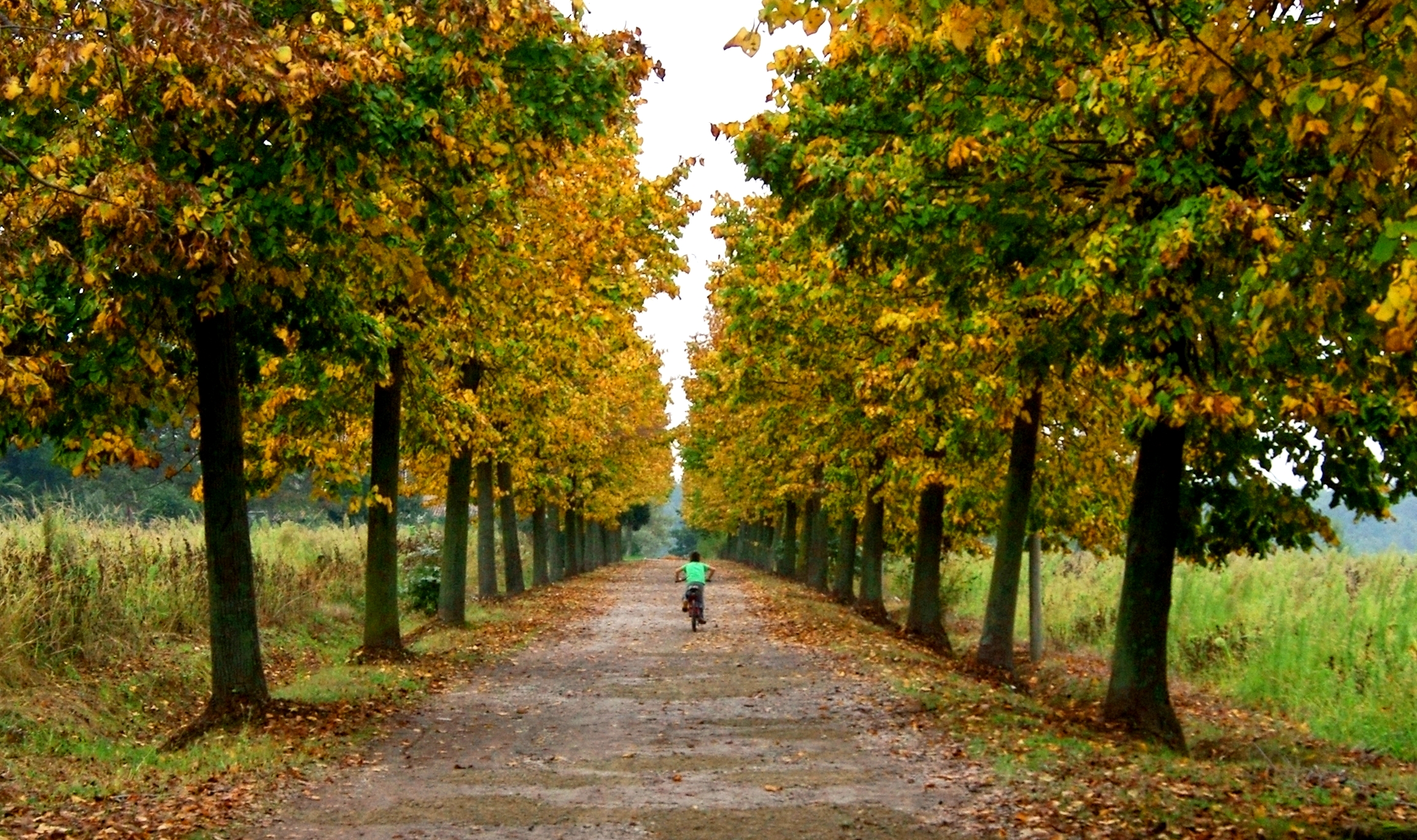 primi colori d'autunno