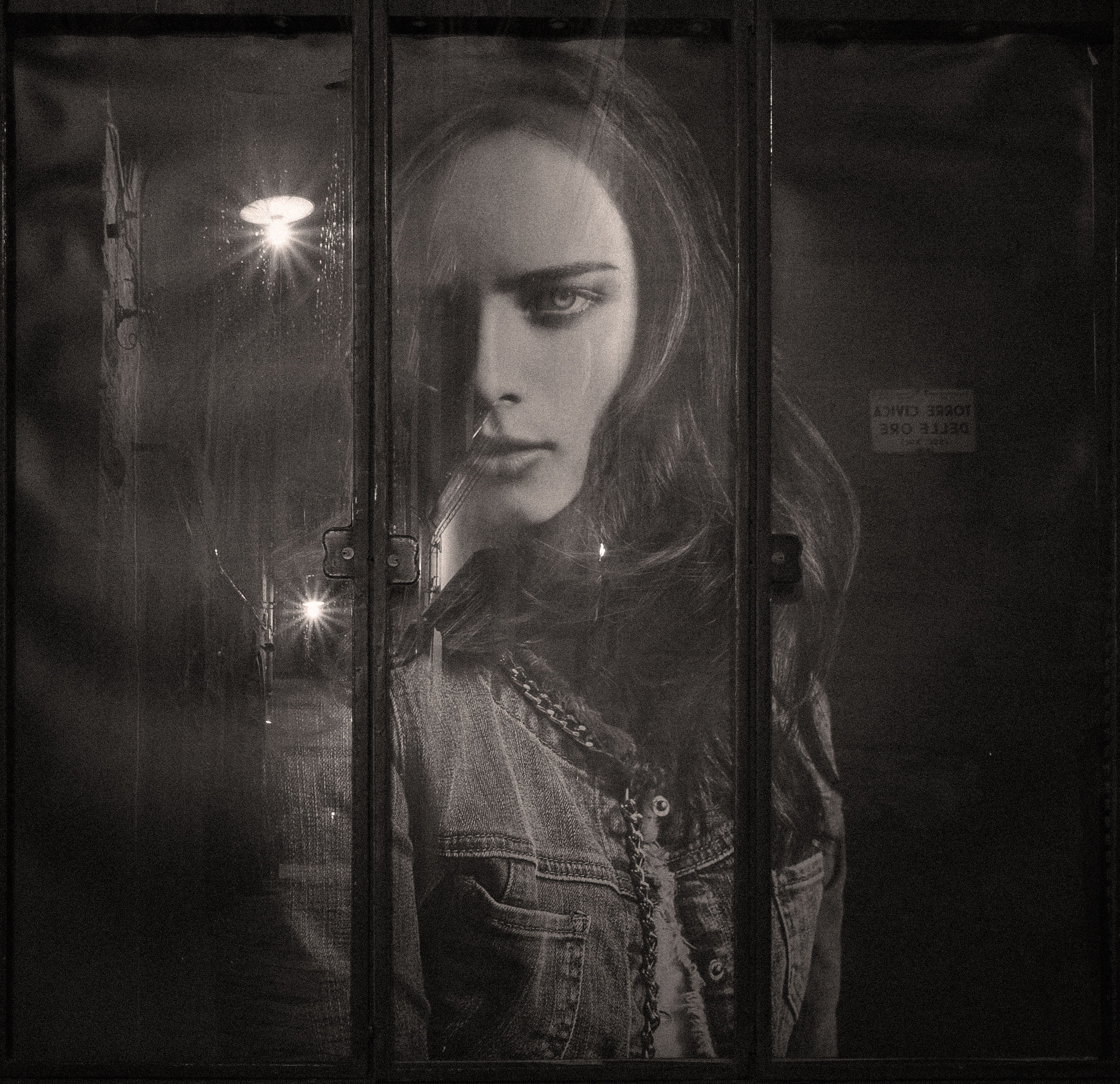 pipistrella di Lucca