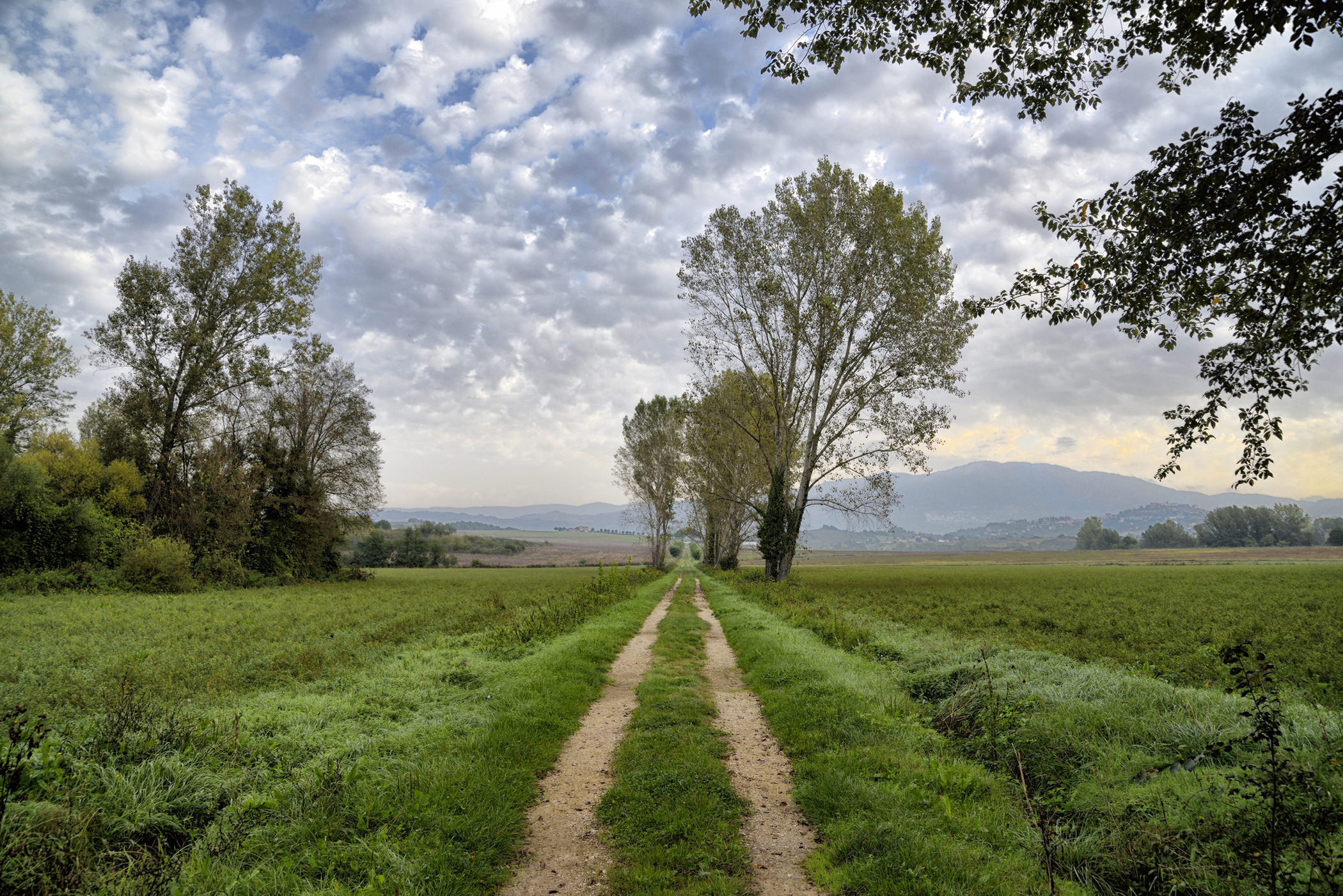 Sentieri di campagna