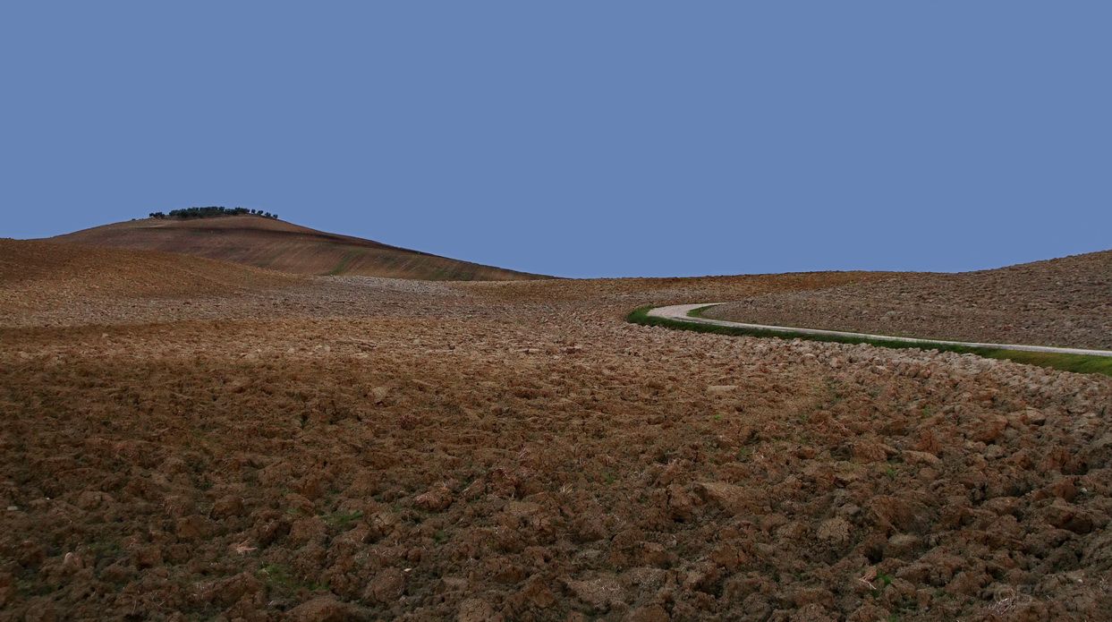 First light on the Val d'Orcia