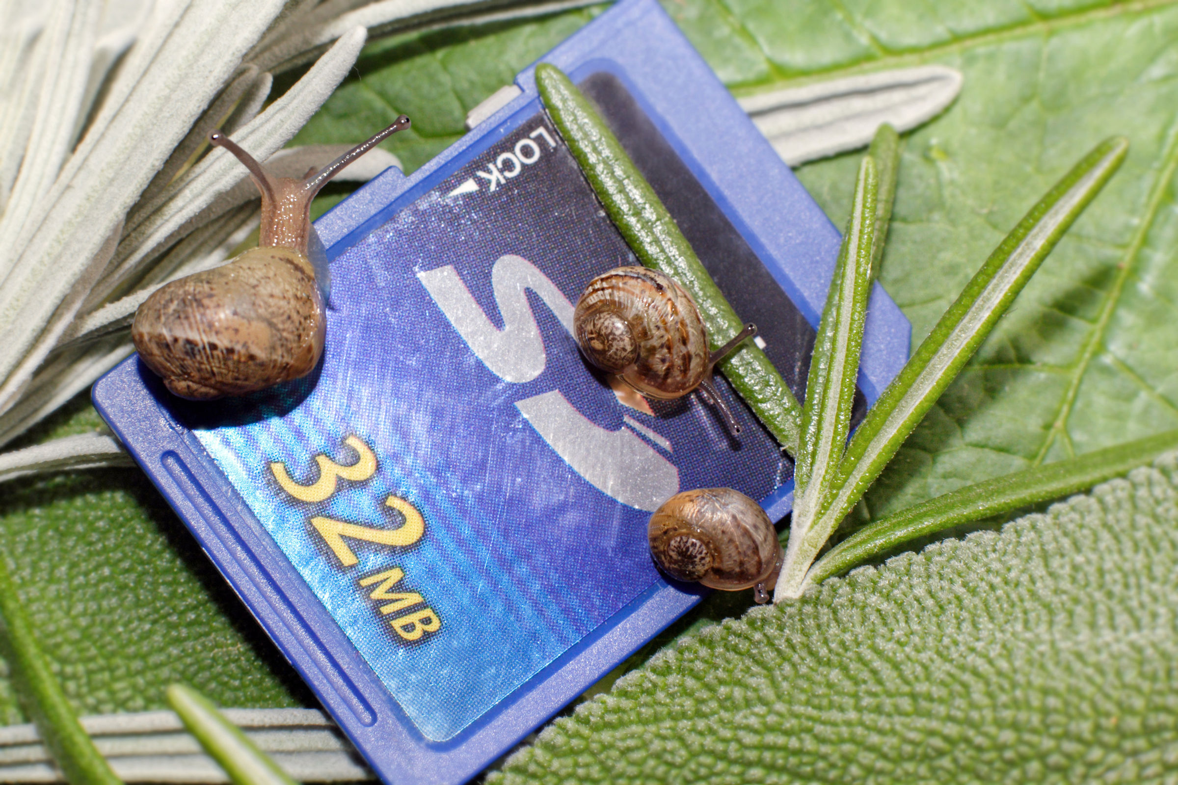 Here we save for years ...