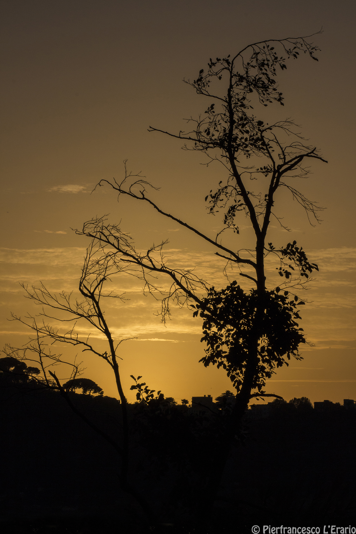 Mi spoglio in eleganza al tramonto