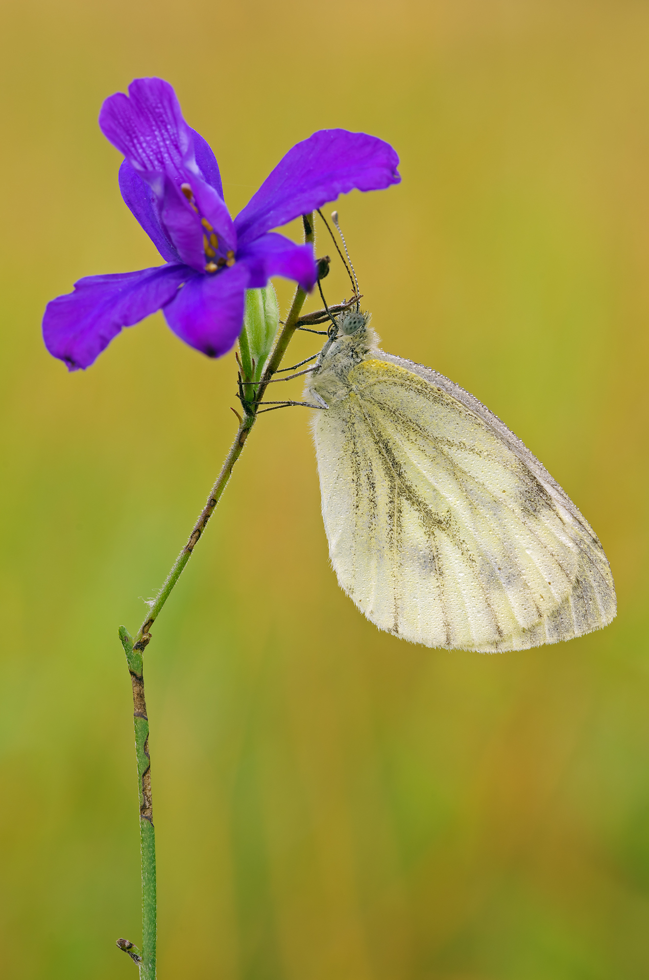 Hiding in the shadows...
