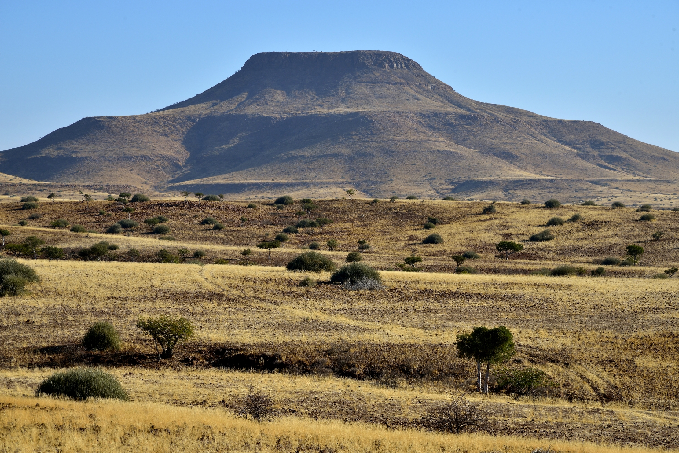 Damaraland