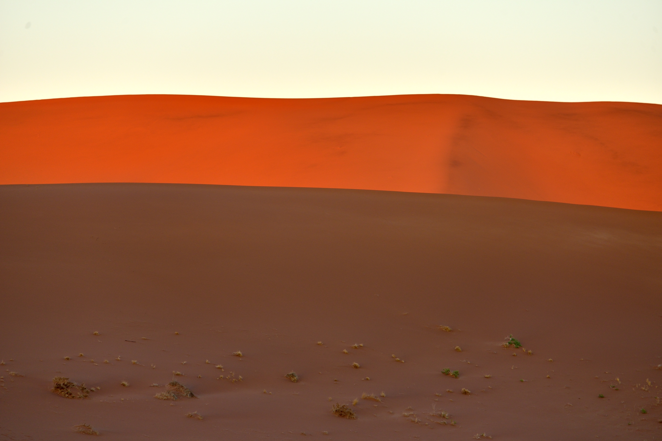 Deserto del Namib
