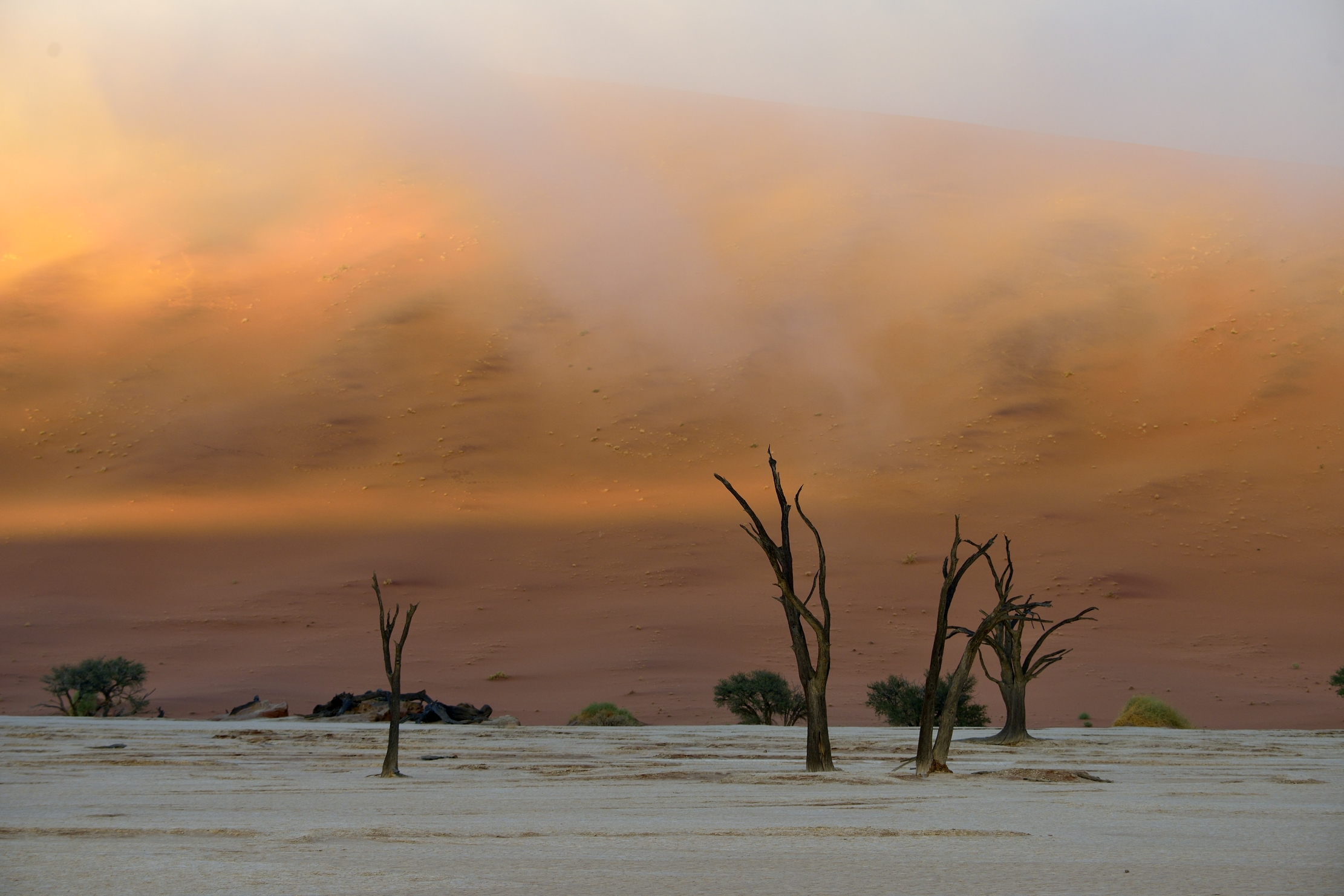 Deserto del Namib - Deadvlei