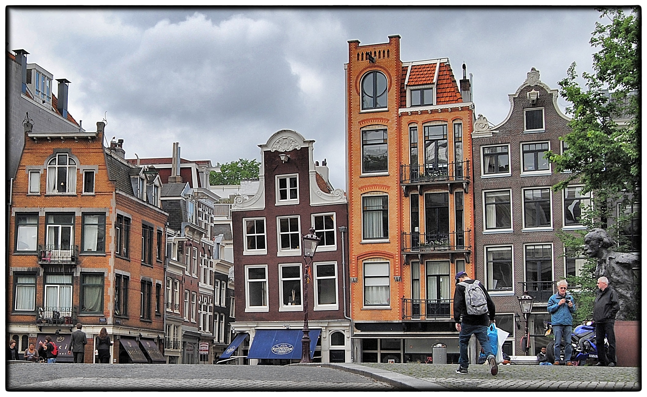 Cè Sempre Una Pecora...