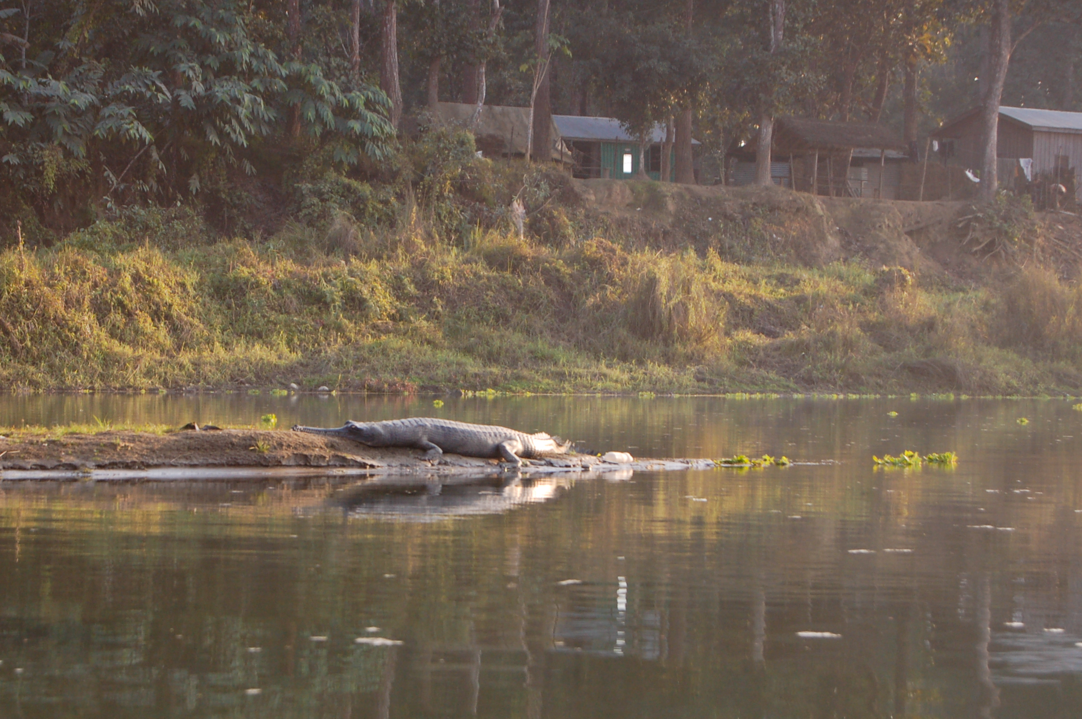 MiN3, Chitwan-Baktapur 1